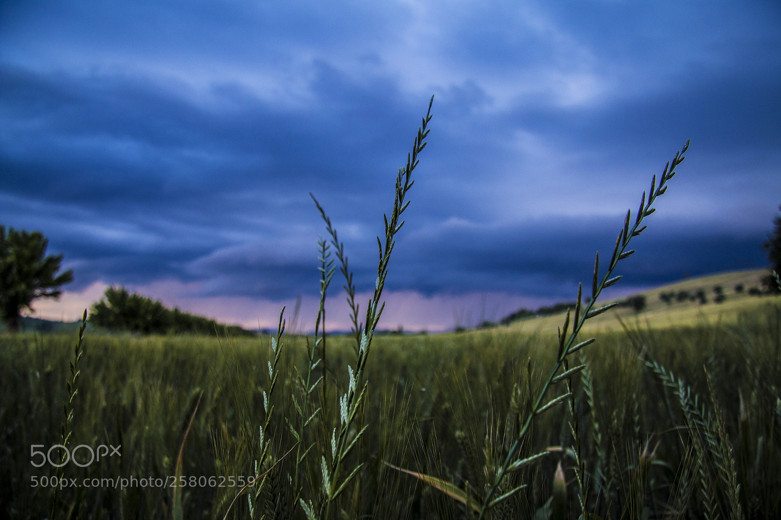 Canon EOS 70D sample photo. Spring rains - filottrano photography