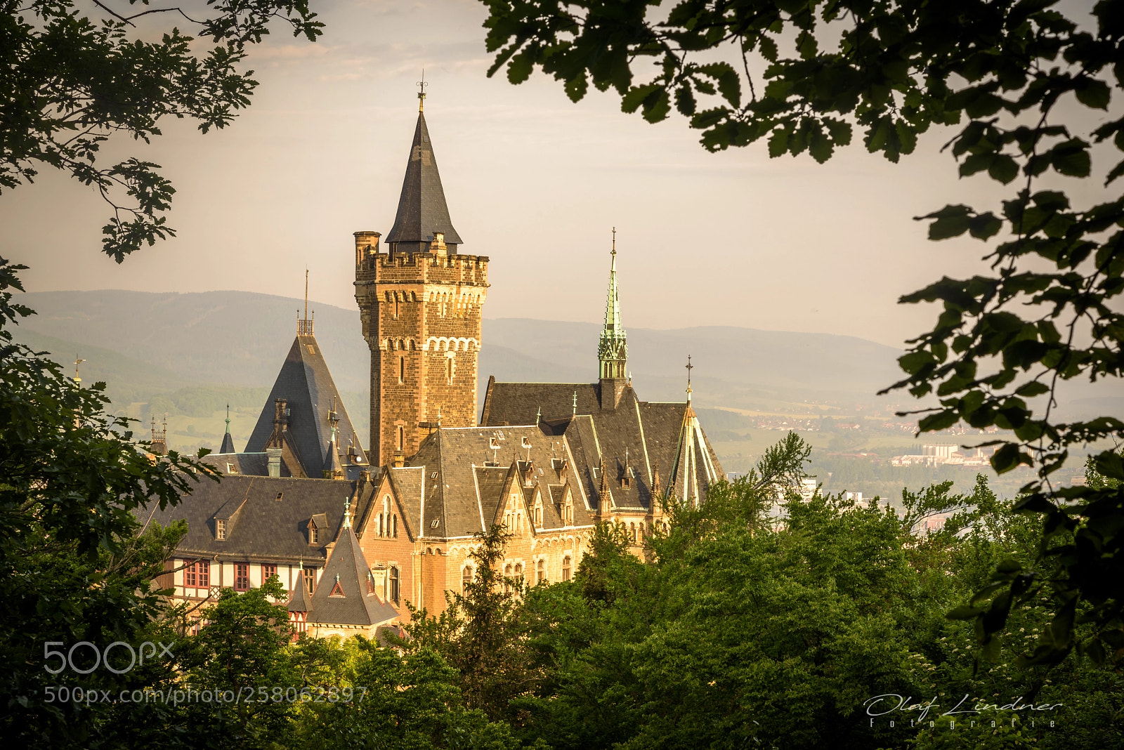 Nikon D750 sample photo. Schloss wernigerode photography