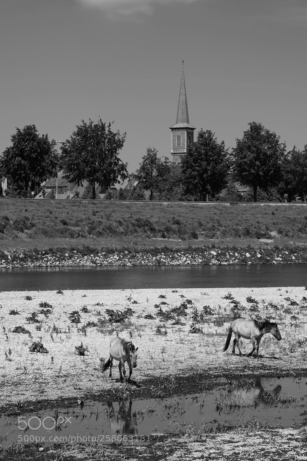 Fujifilm X-T2 sample photo. Maaseik photography