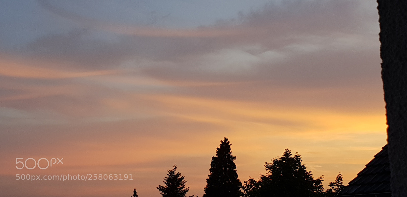 Samsung Galaxy S9+ sample photo. Untitled photography