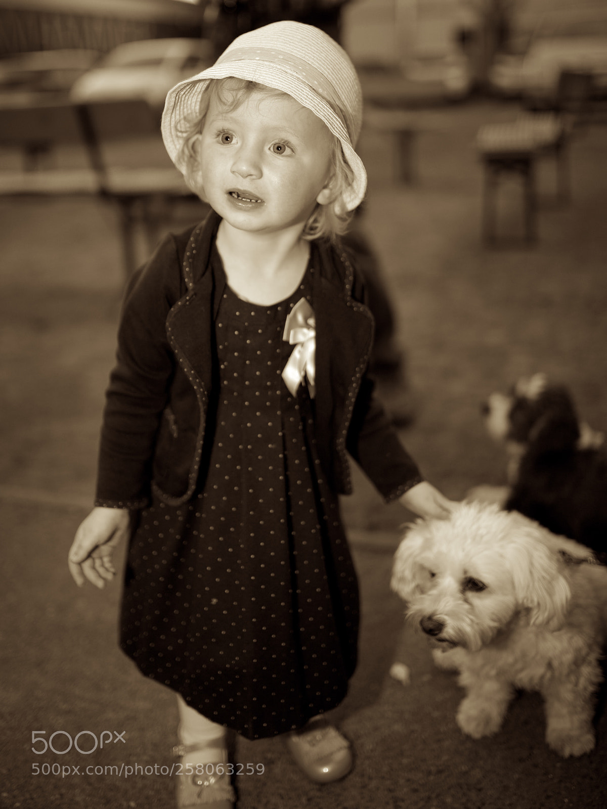 Canon EOS 5DS R sample photo. Little child & small dog photography
