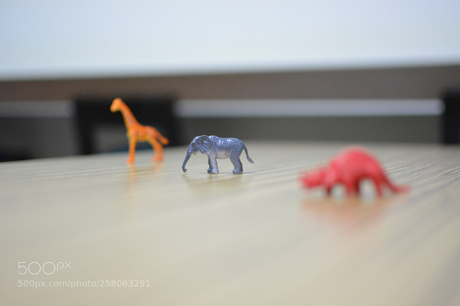 Nikon D5200 sample photo. Untitled photography