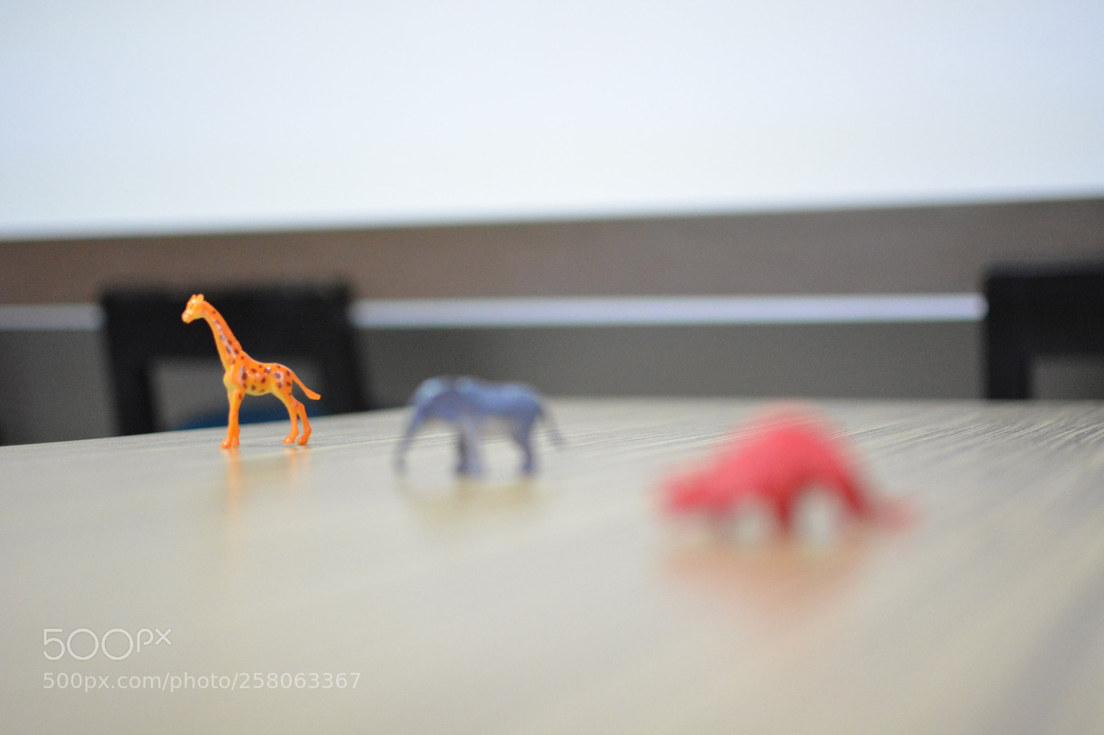 Nikon D5200 sample photo. Untitled photography