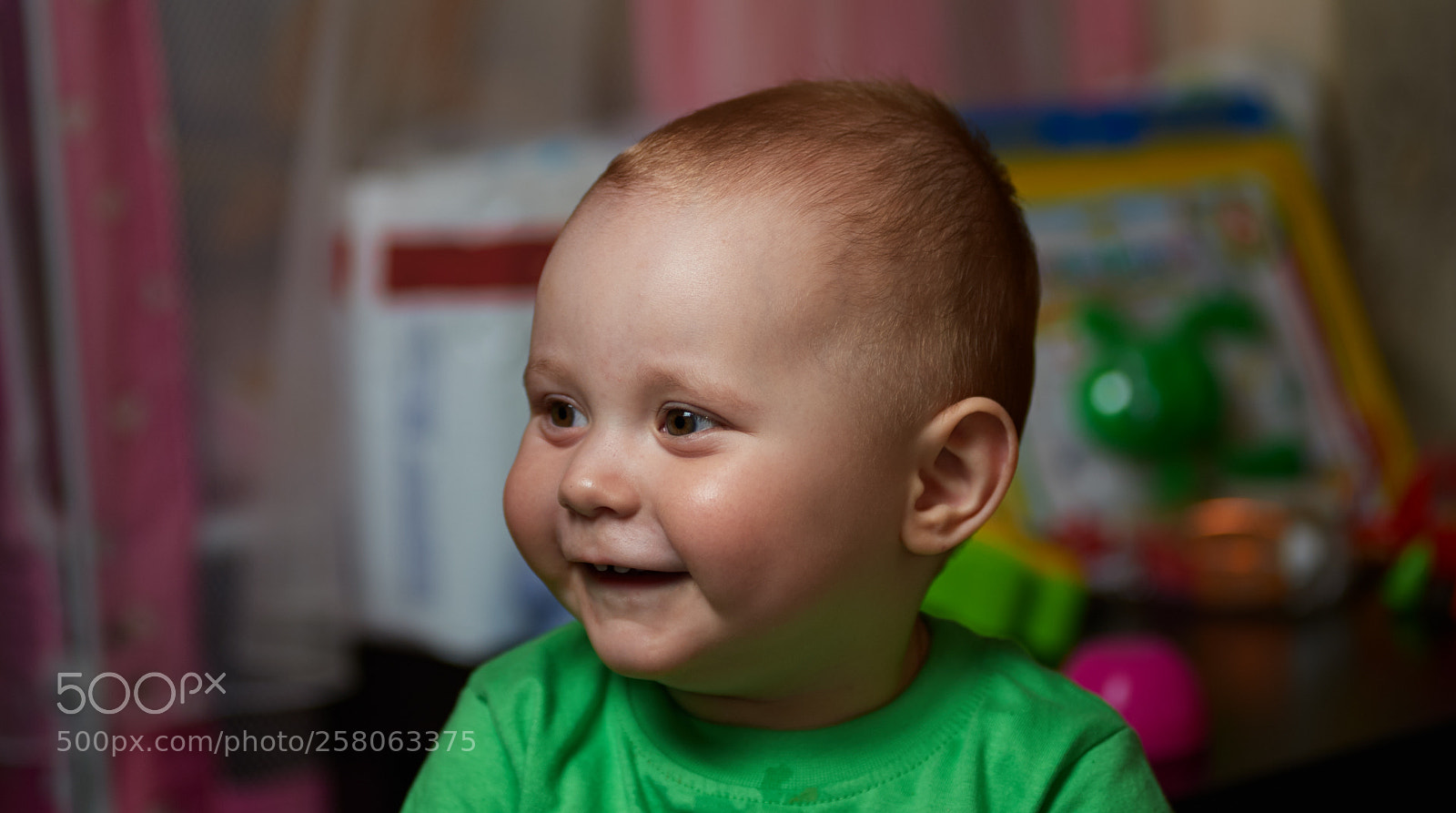 Nikon D700 sample photo. Vovchik photography