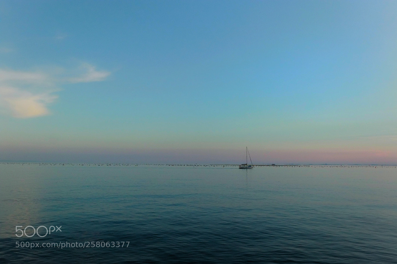 Canon EOS 70D sample photo. Untitled photography