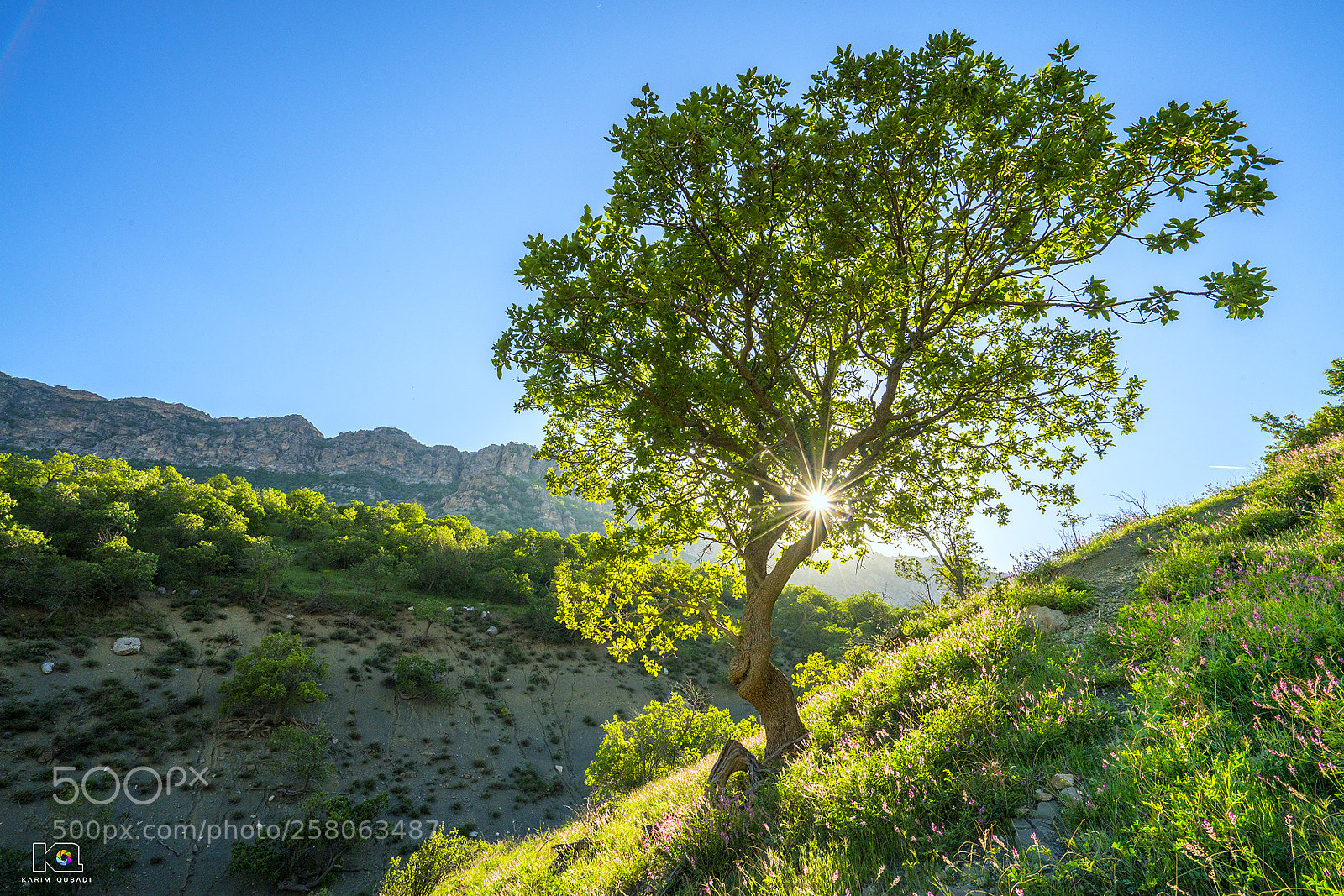 Sony a7R II sample photo. Qaradakh - kurdistan photography