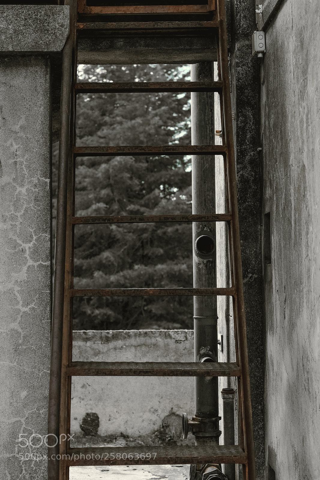 Fujifilm X-T10 sample photo. Stairway to death photography