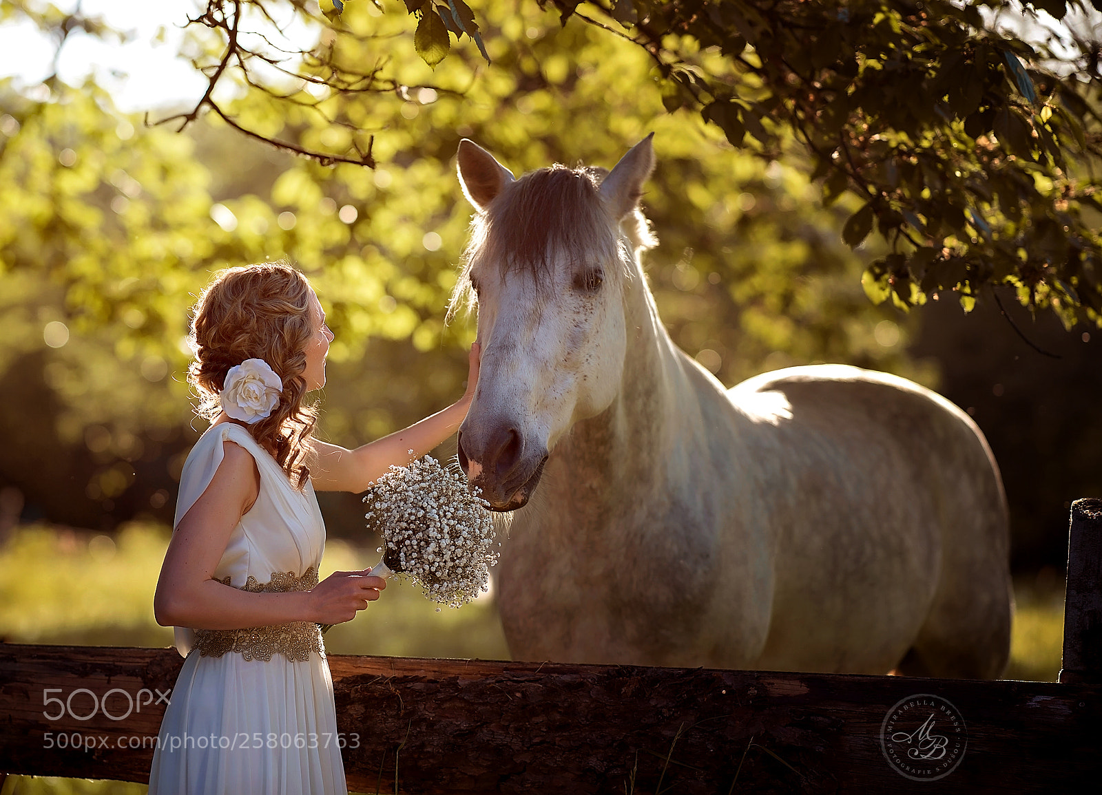 Nikon D4S sample photo. In the orchard photography