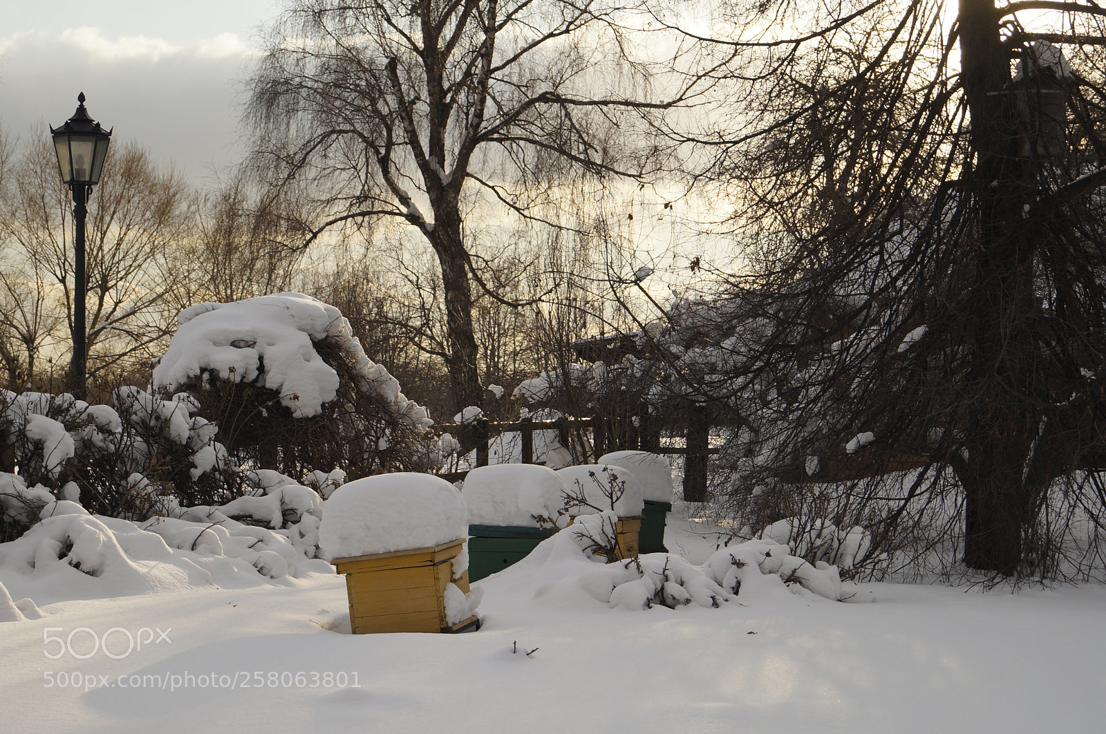 Sony SLT-A57 sample photo. Untitled photography
