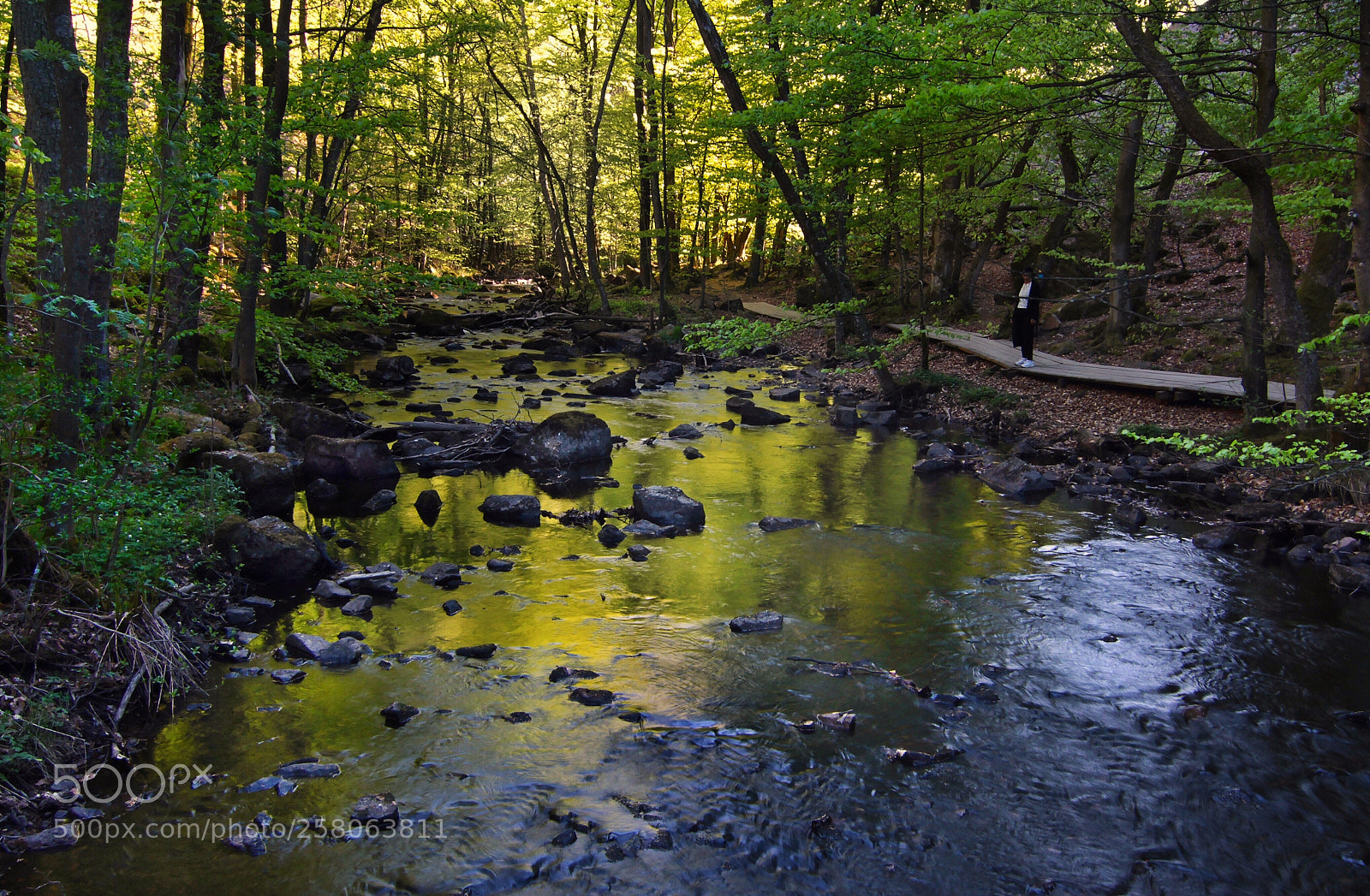 Canon EOS 50D sample photo. Magic river photography