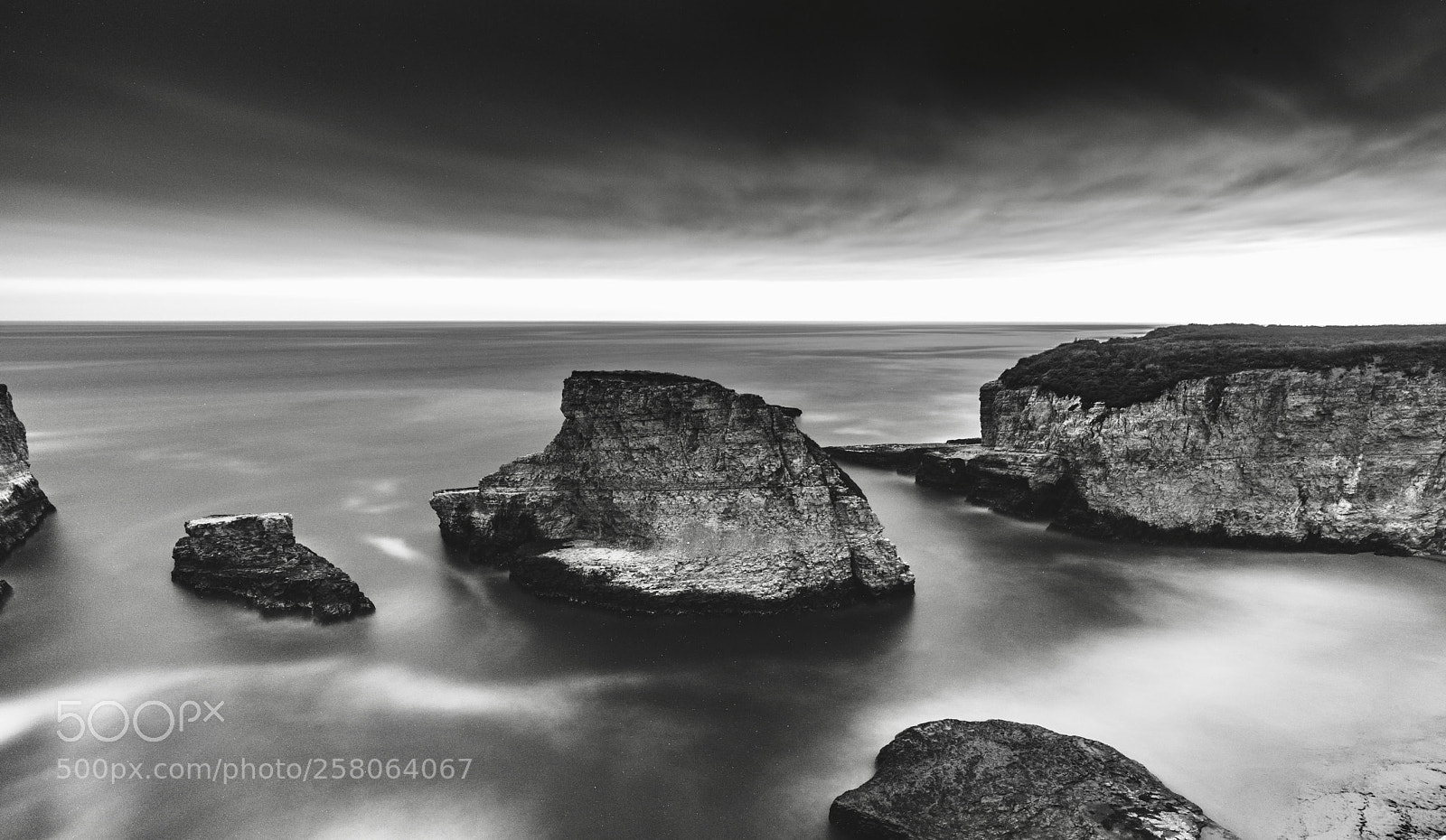 Sony a7R III sample photo. B&w shark photography