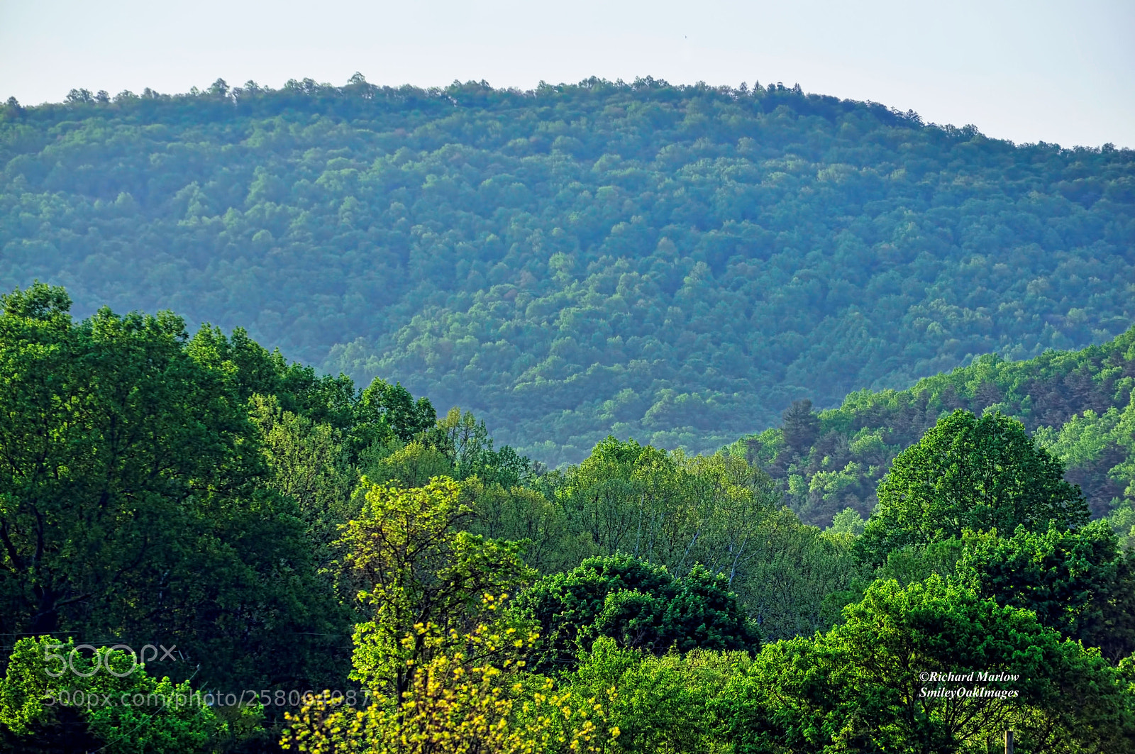 Nikon D5000 sample photo. Hazy mountain photography