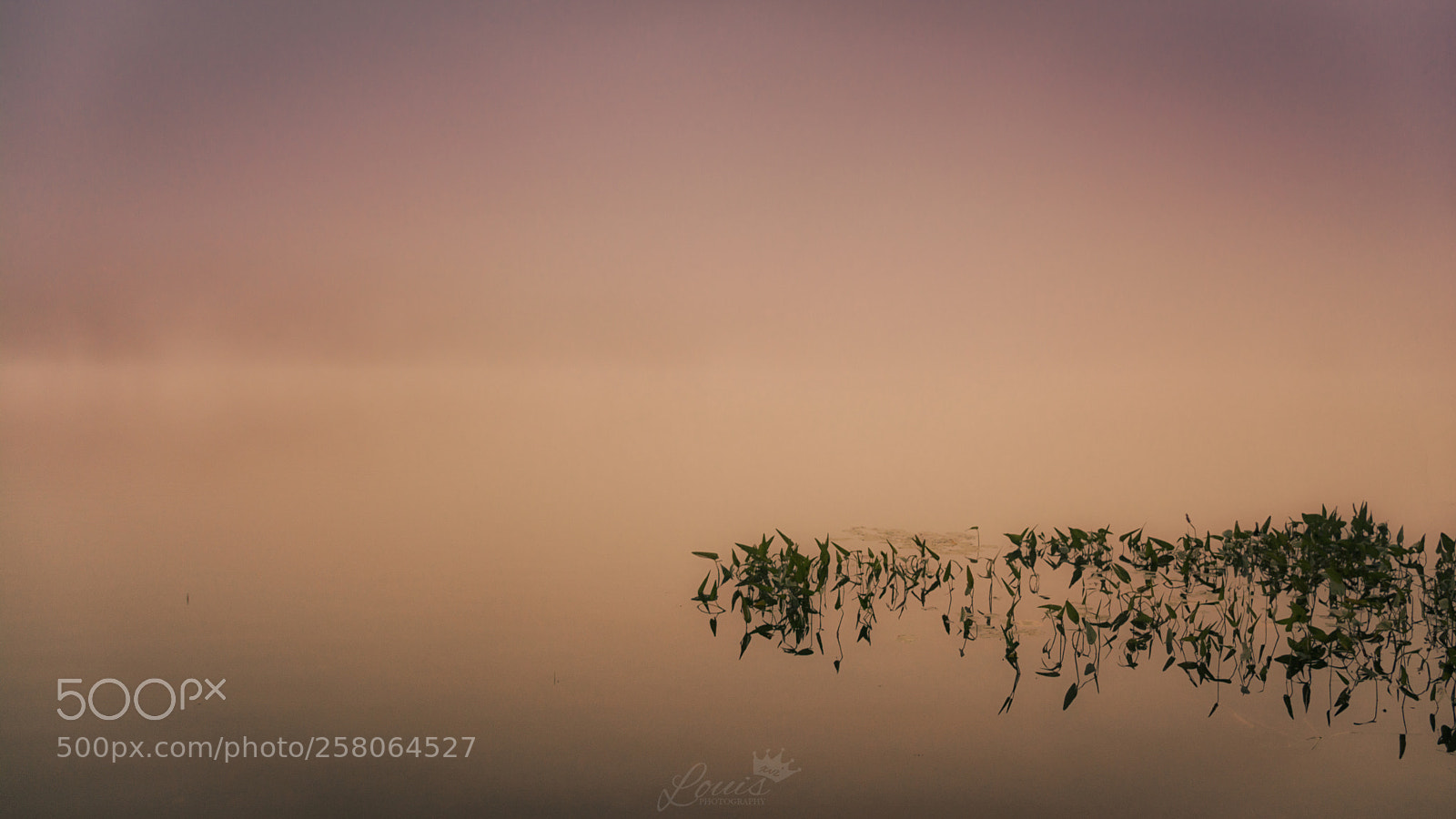Nikon D7100 sample photo. Morning photography