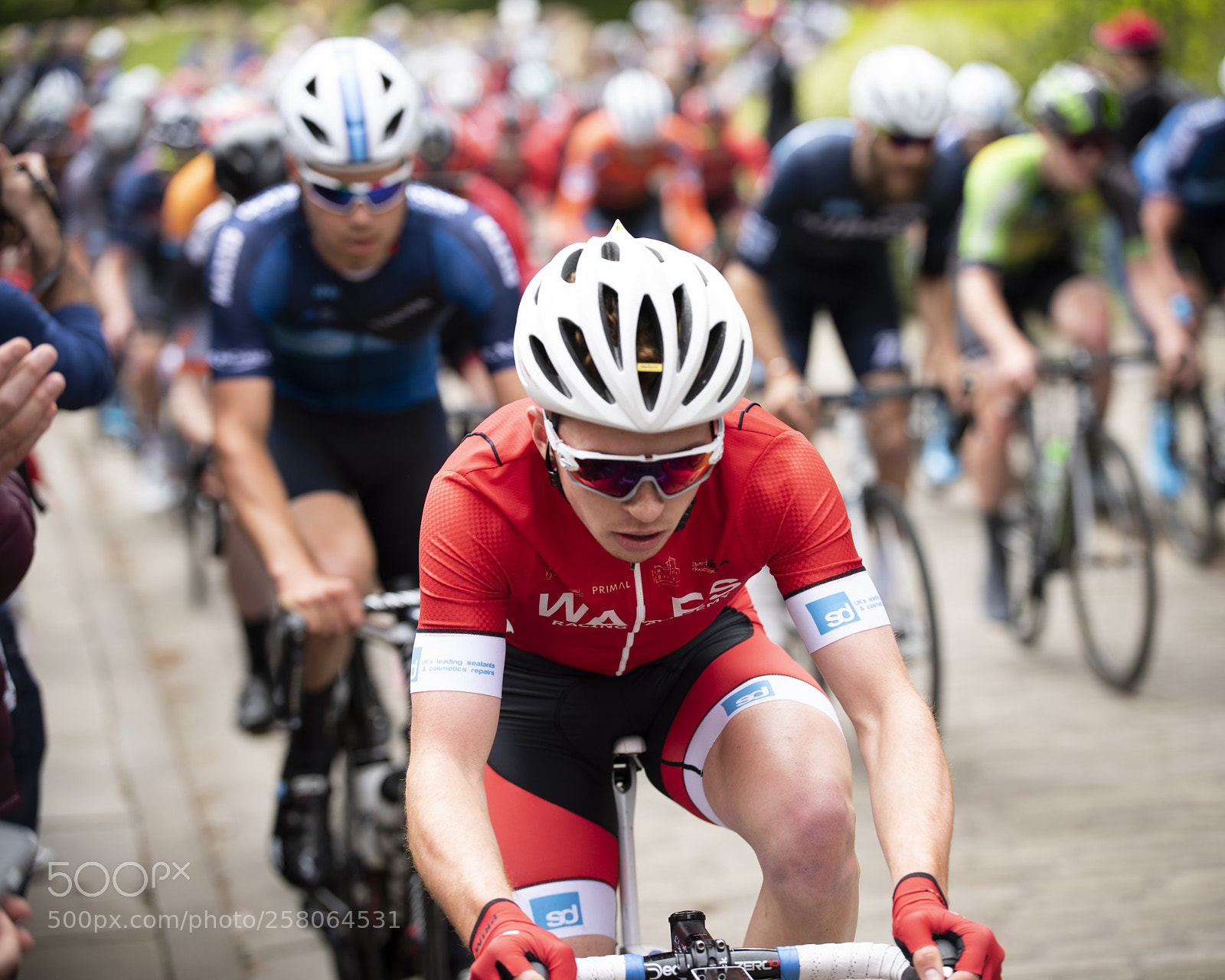 Nikon D810 sample photo. The first ascent of photography