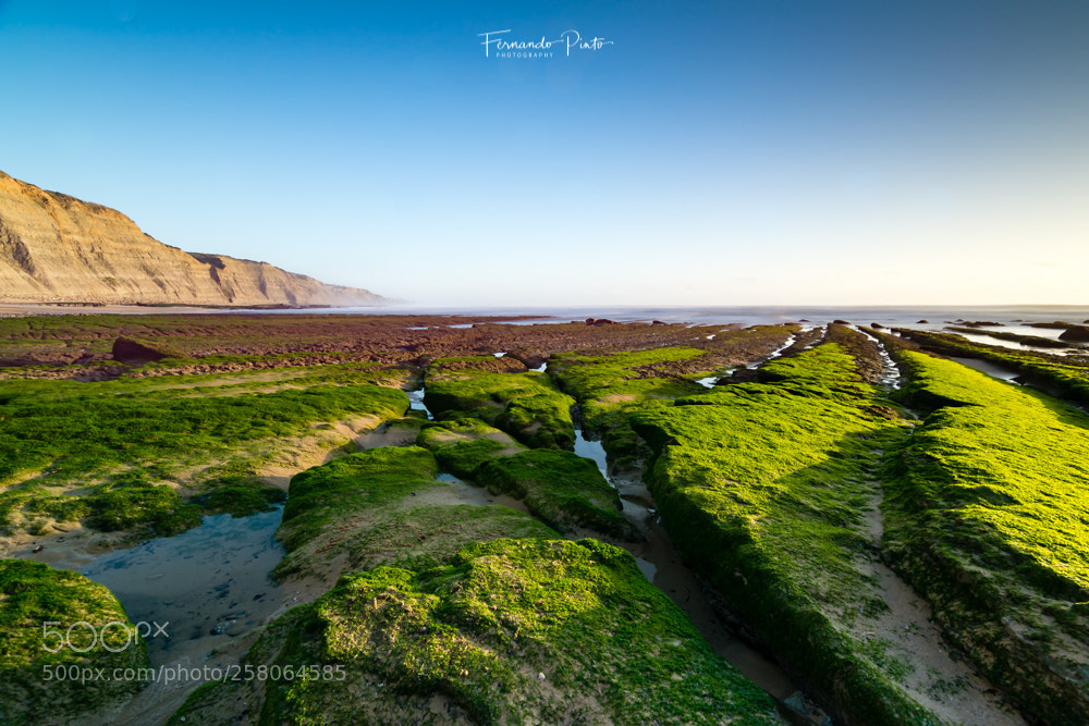 Nikon D7100 sample photo. Magoito low tide #2 photography
