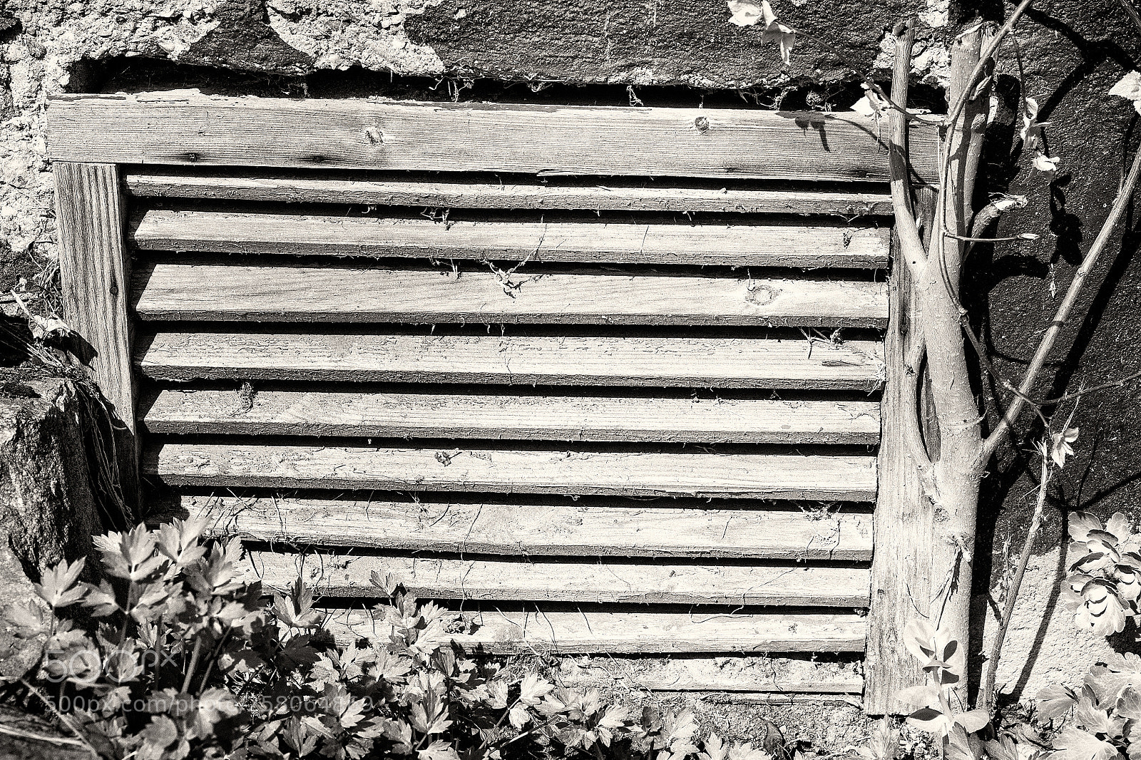 Canon EOS 1100D (EOS Rebel T3 / EOS Kiss X50) sample photo. A slatted window photography