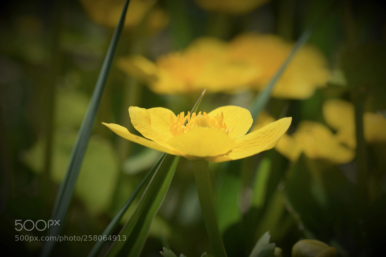 Nikon D5300 sample photo. Untitled photography