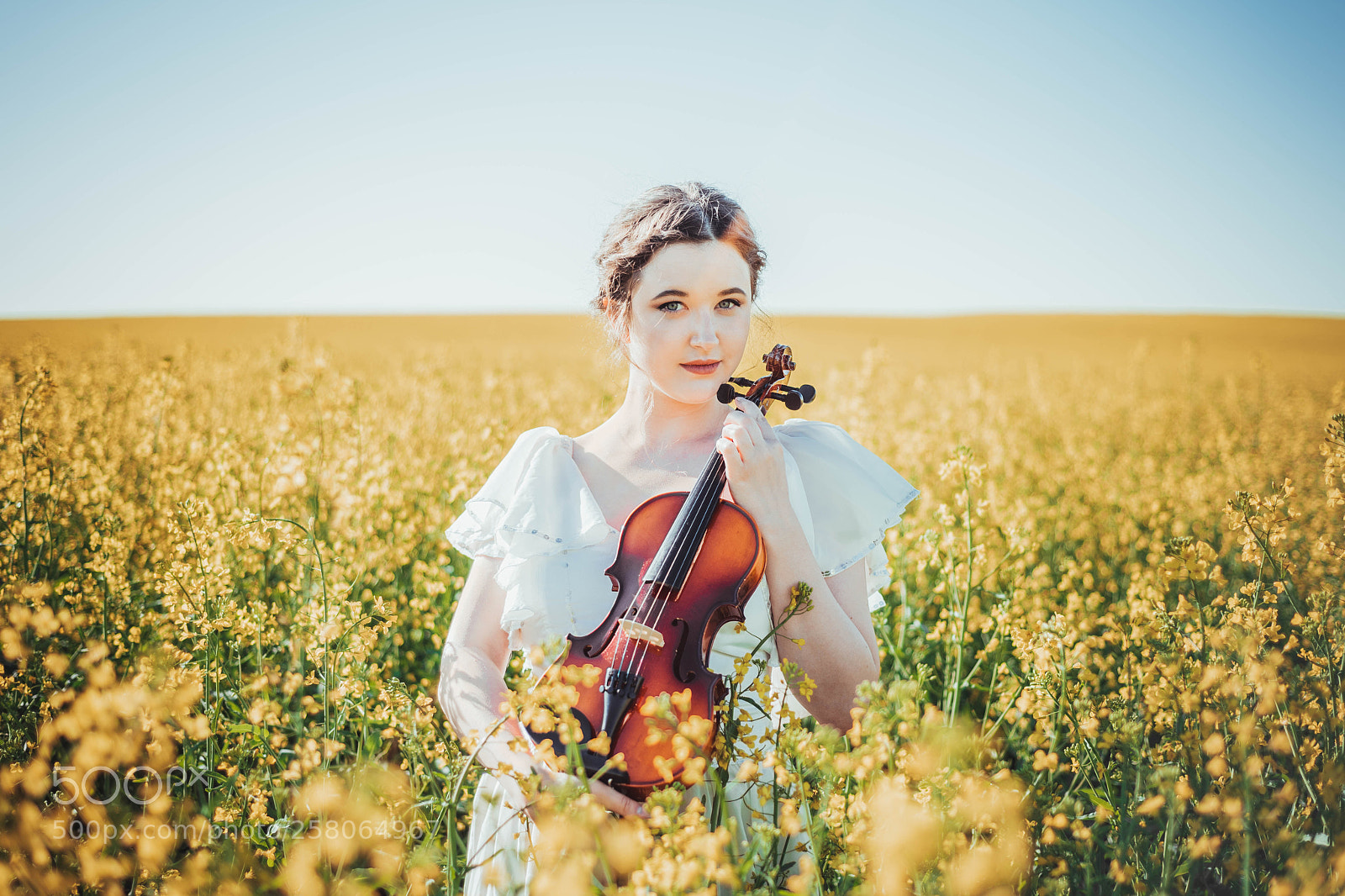 Nikon D750 sample photo. Violin photography