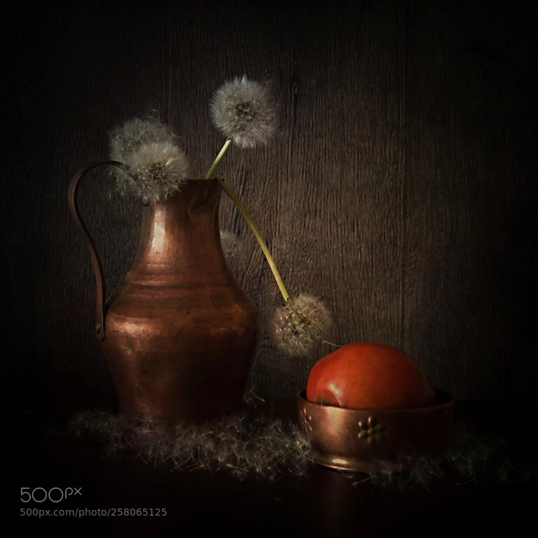 Pentax K-1 sample photo. Still life with tomato photography
