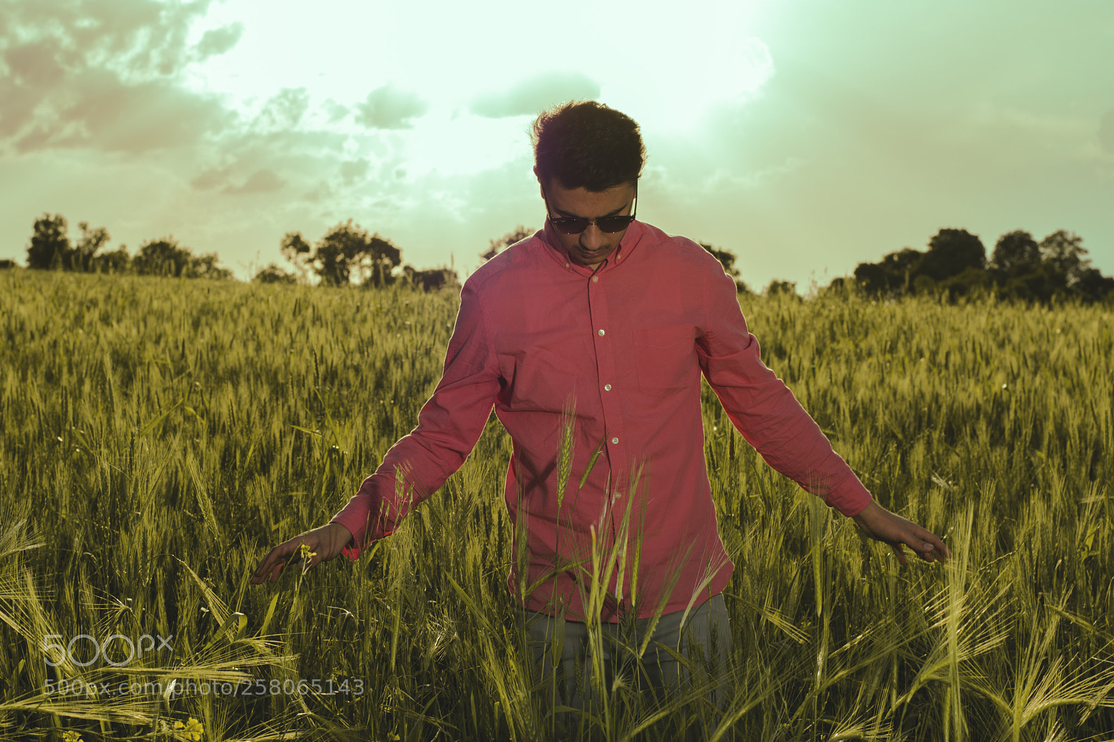 Nikon D7100 sample photo. Sunny day photography