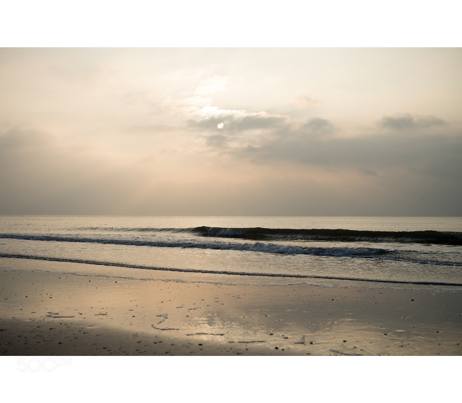 Nikon D610 sample photo. Bergen aan zee photography
