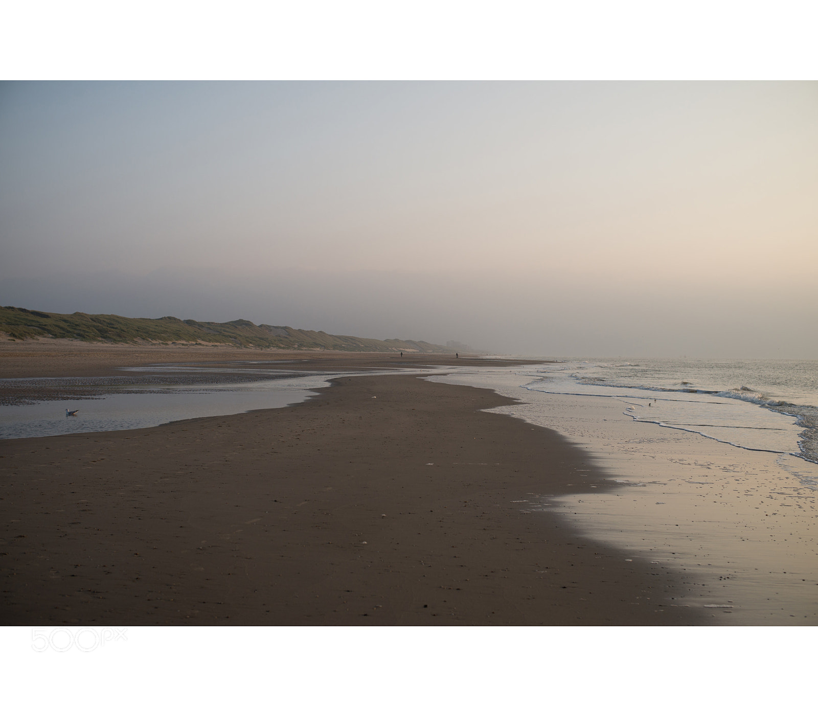 Nikon D610 sample photo. Bergen aan zee photography
