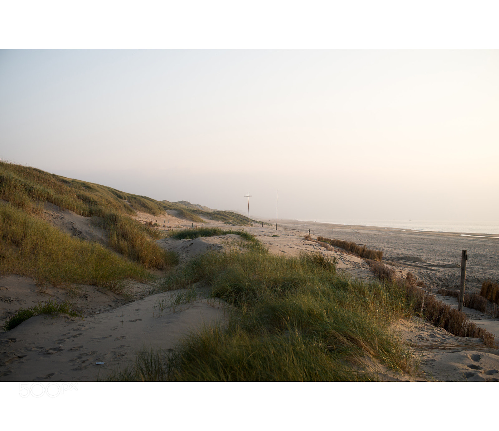 Nikon D610 sample photo. Bergen aan zee photography