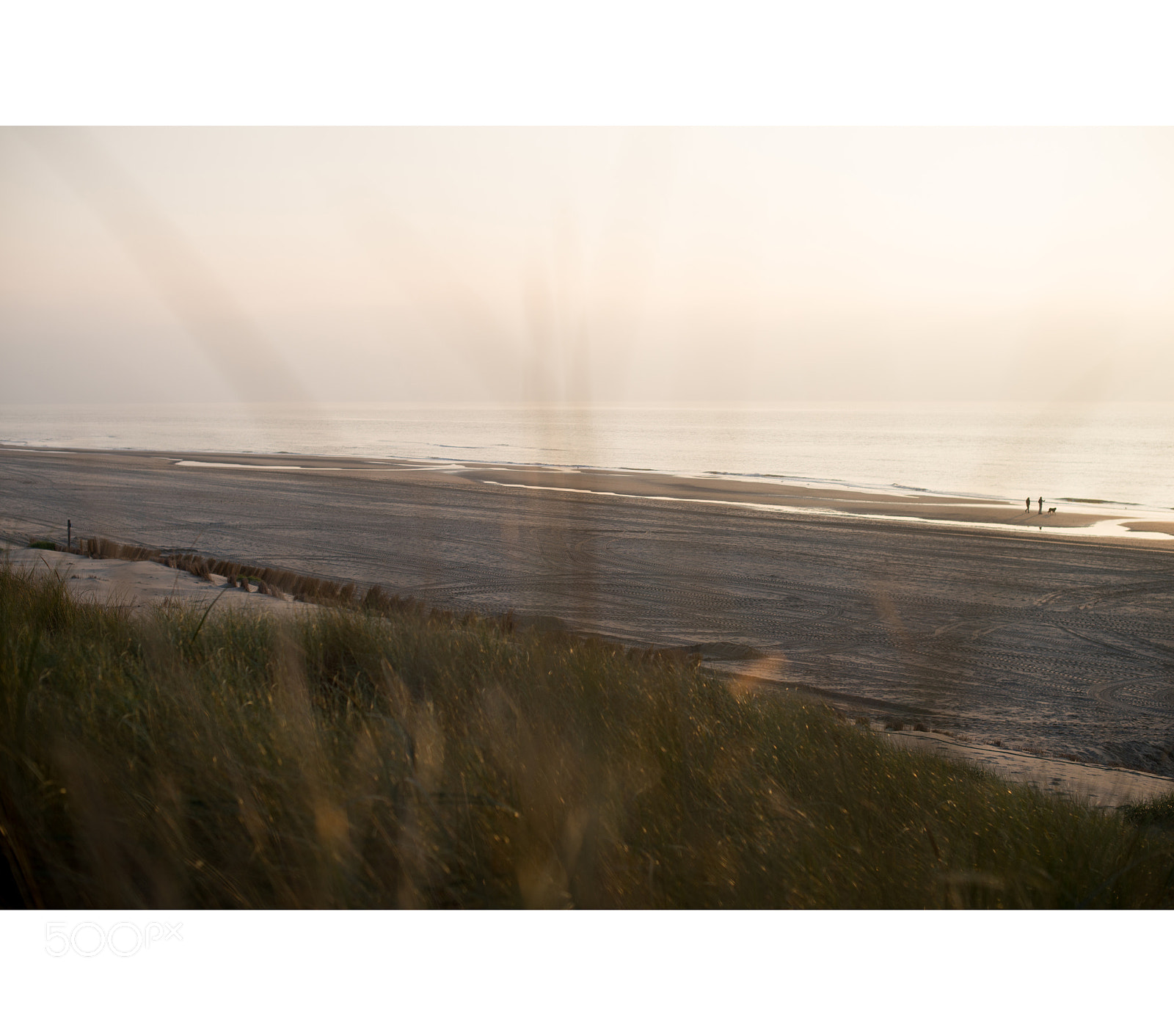 Nikon D610 sample photo. Bergen aan zee photography