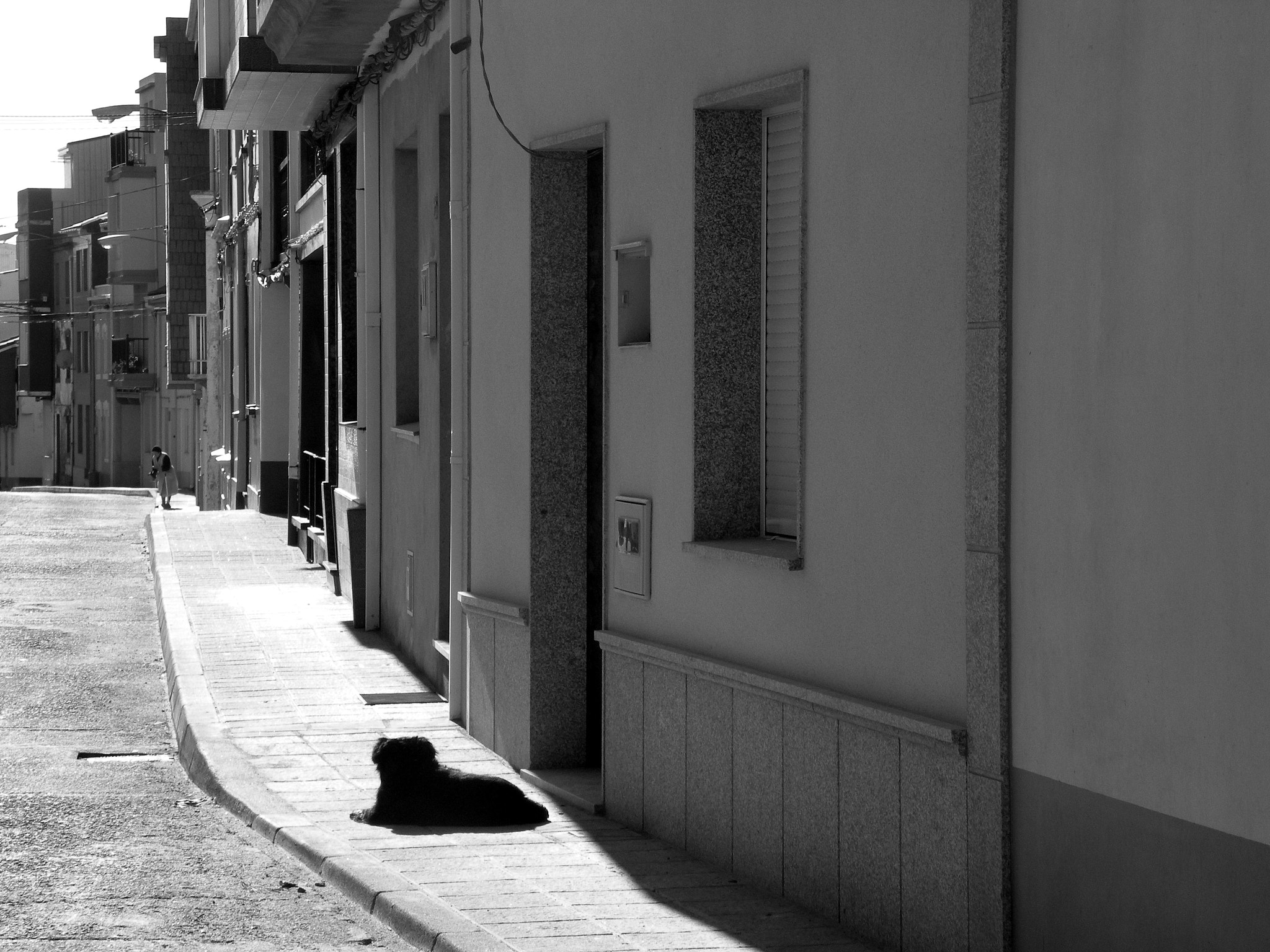 Nikon Coolpix P80 sample photo. Chucho photography