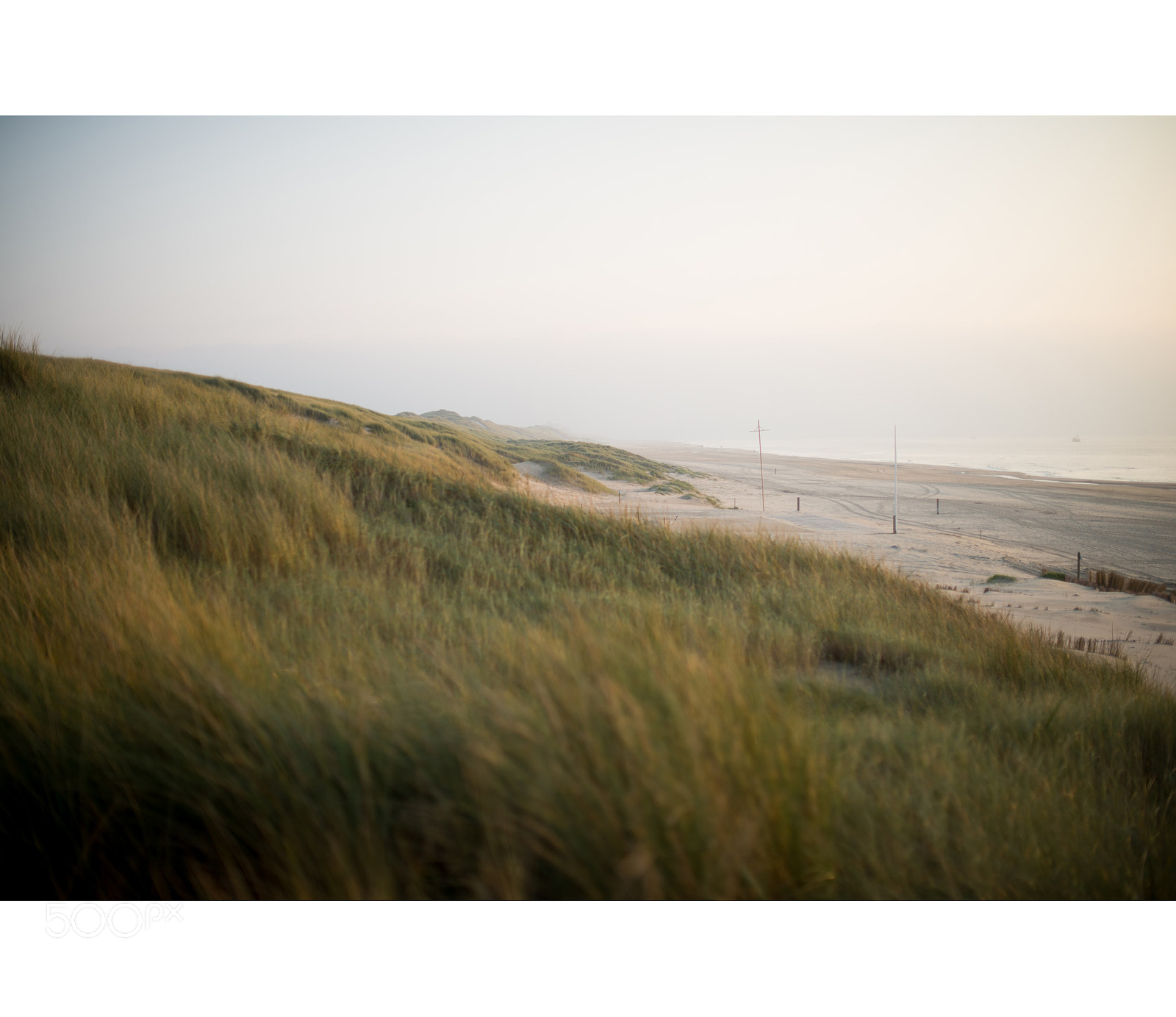 Nikon D610 sample photo. Bergen aan zee photography