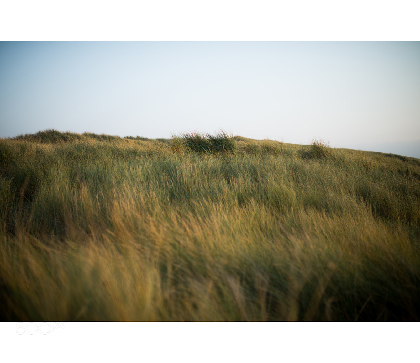 Nikon D610 sample photo. Bergen aan zee photography