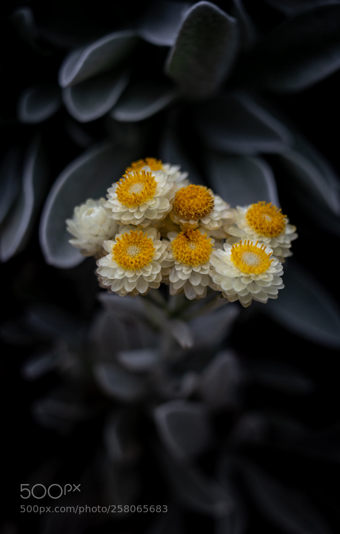 Canon EOS 6D sample photo. The sunshine underground photography