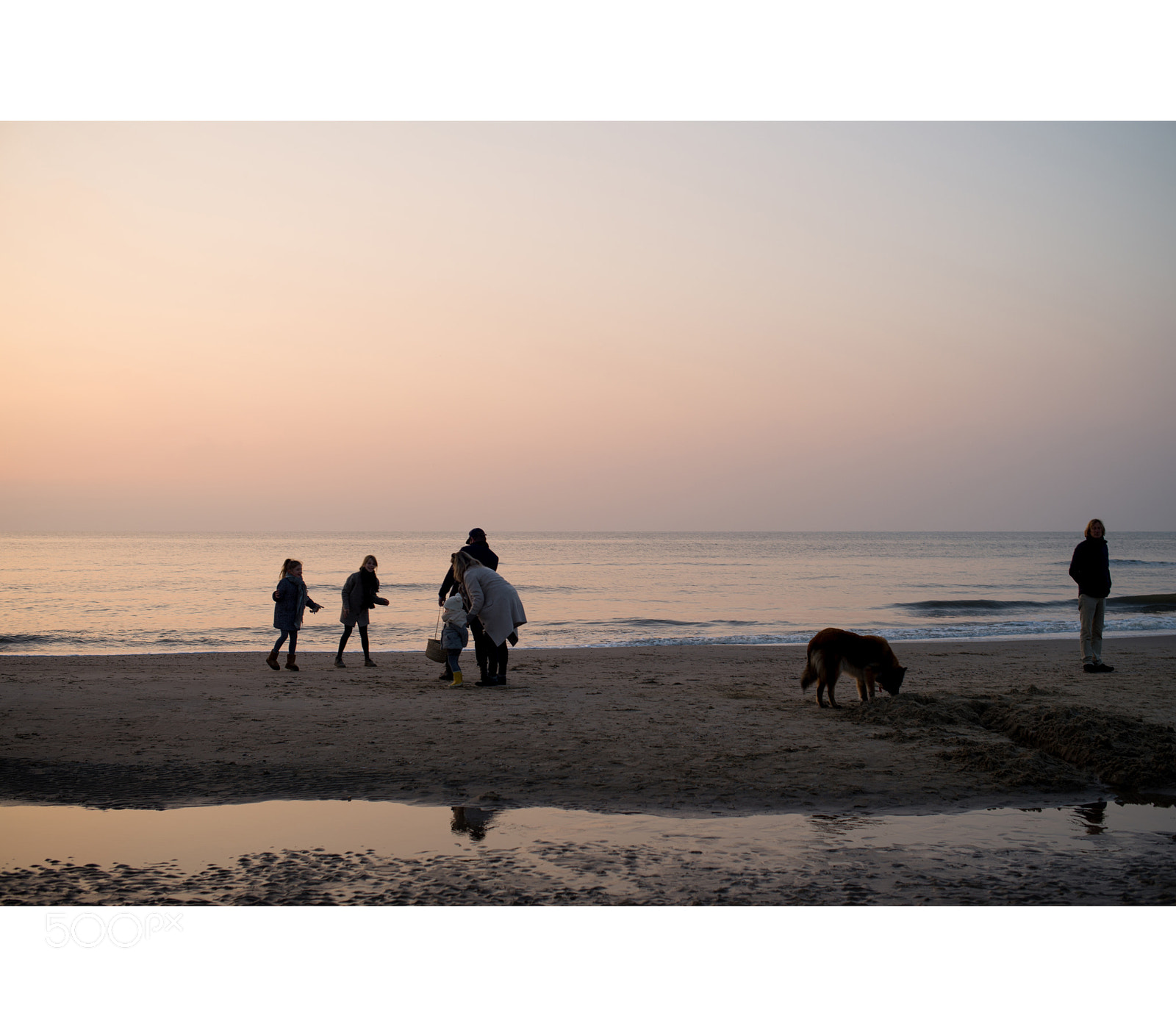 Nikon D610 sample photo. Bergen aan zee photography
