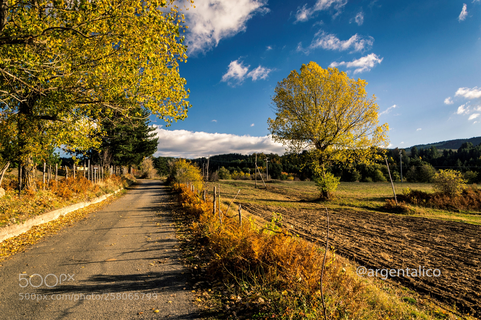 Nikon D3100 sample photo. Natura photography