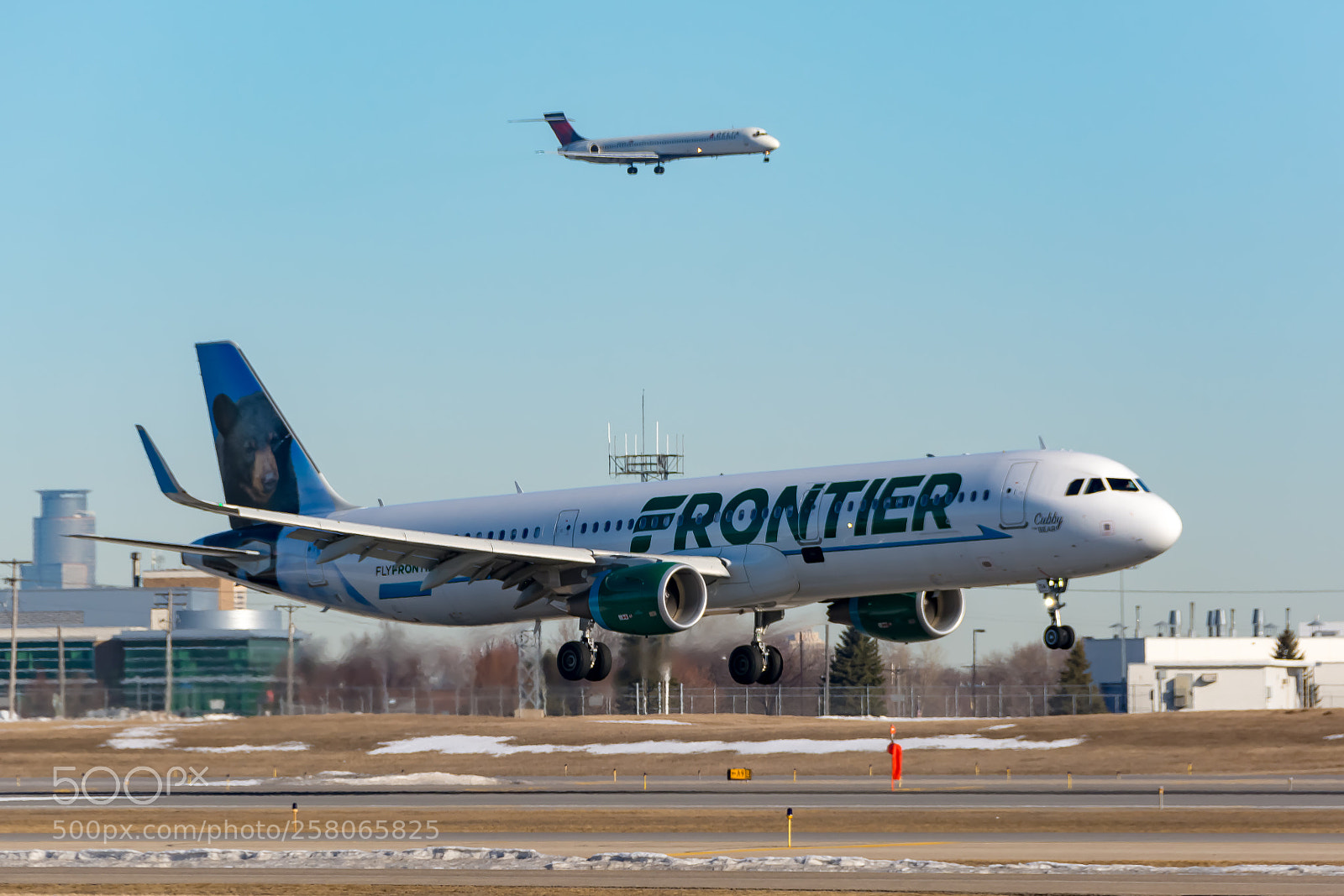 Nikon D7100 sample photo. Frontier cubby the bear photography