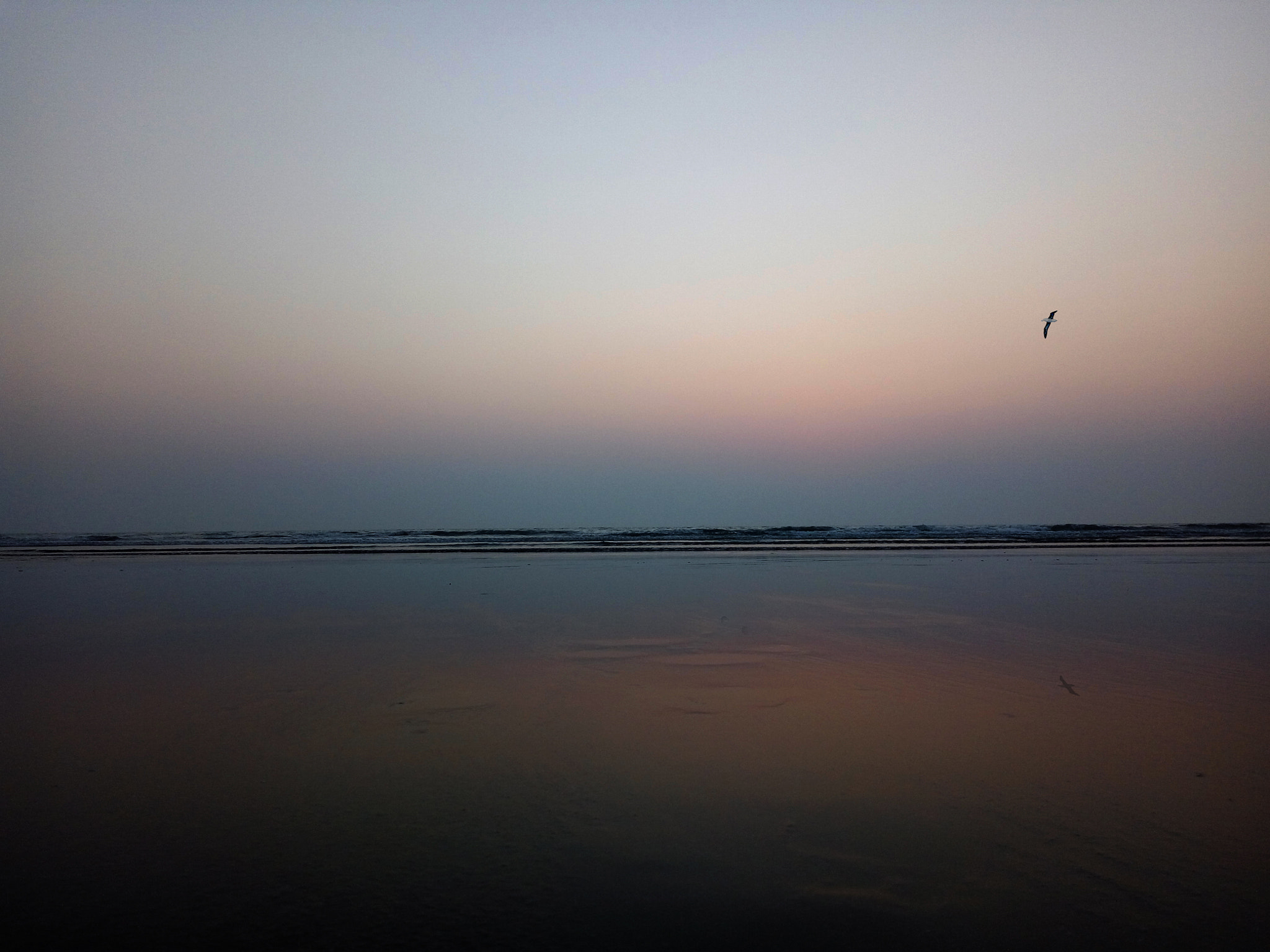 Xiaomi Redmi Note 3 sample photo. Alone in a fine evening photography