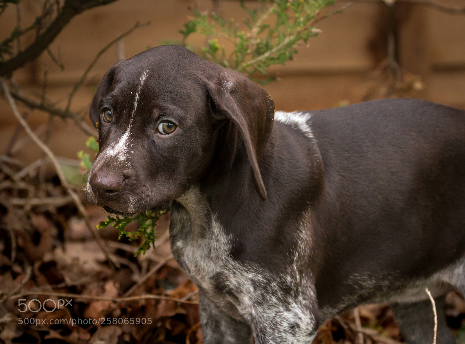 Canon EOS 70D sample photo. Wasn't me!! photography