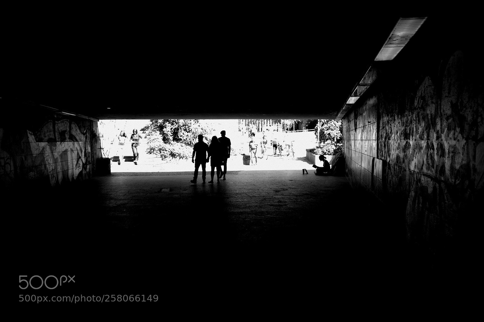 Canon EOS 60D sample photo. Against the light photography