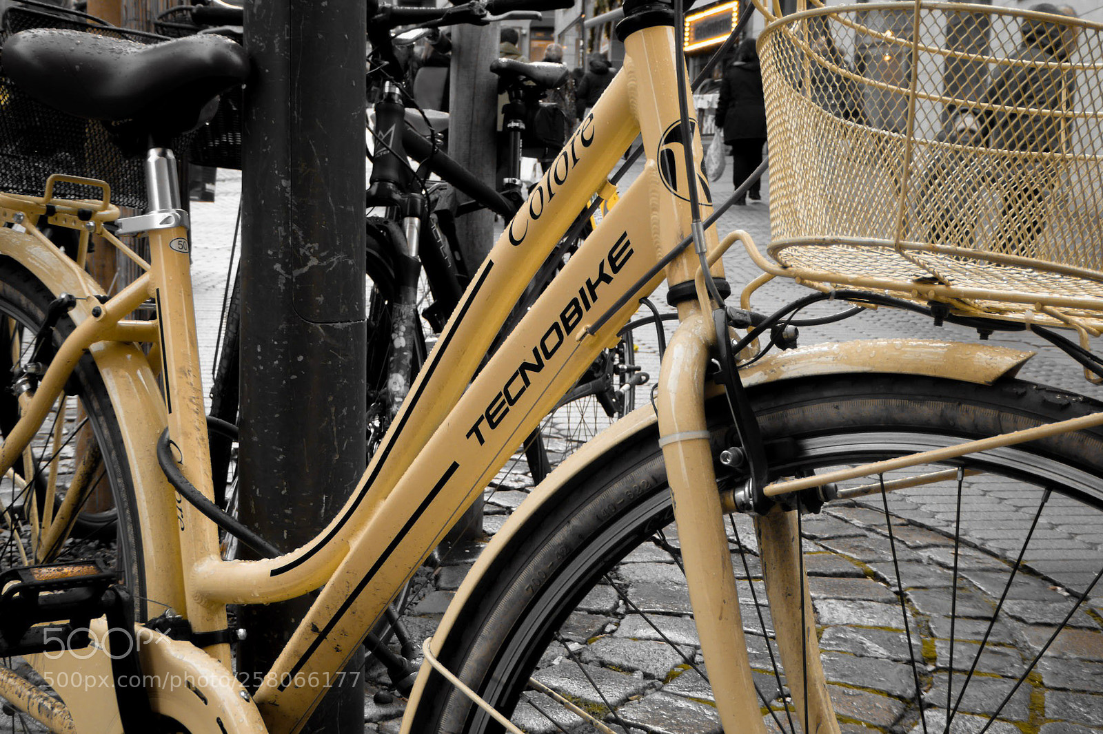 Panasonic DMC-TZ61 sample photo. Tecnobike photography