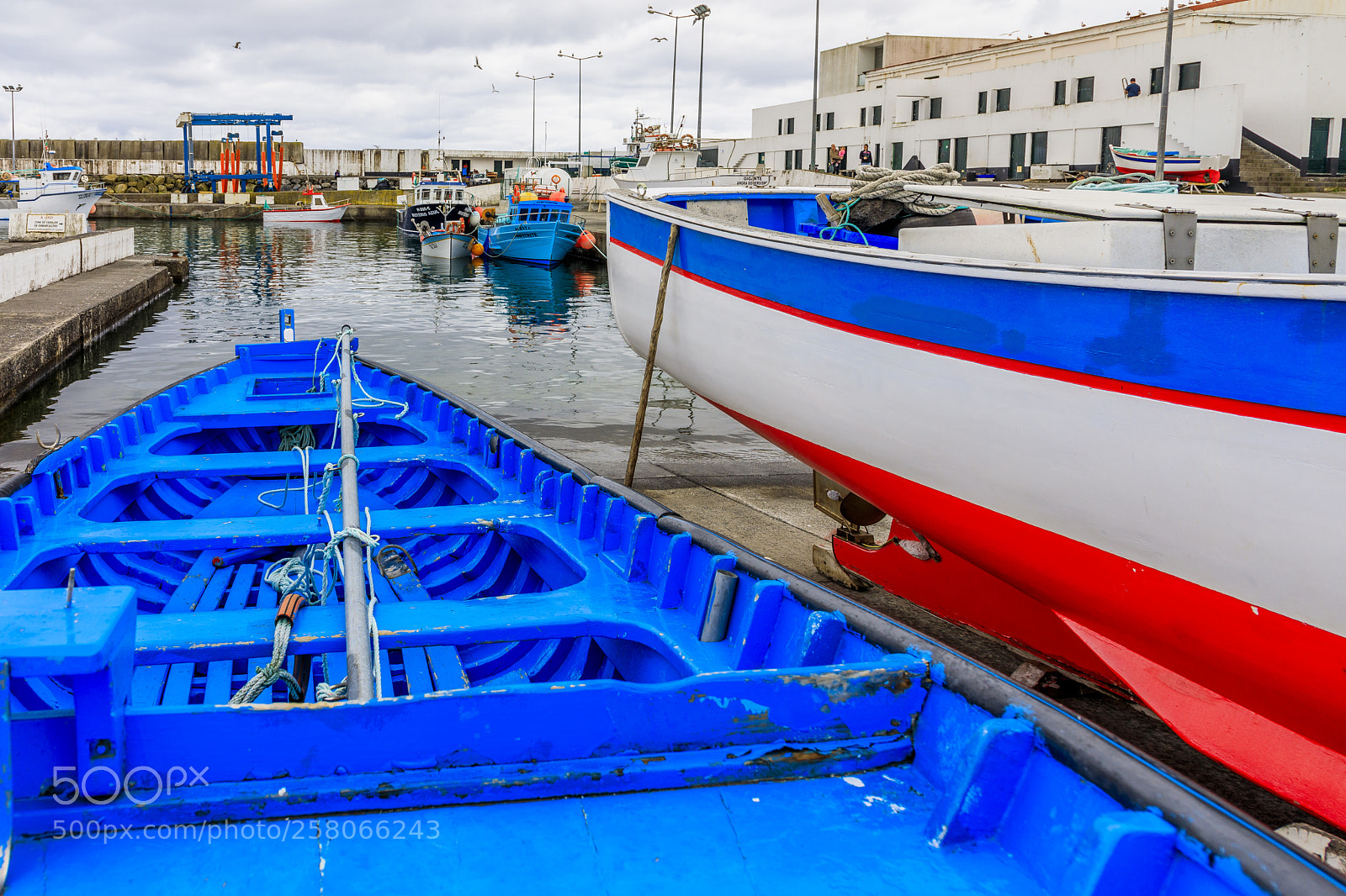 Canon EOS 5D Mark IV sample photo. A ores-terceira-s o mateus photography
