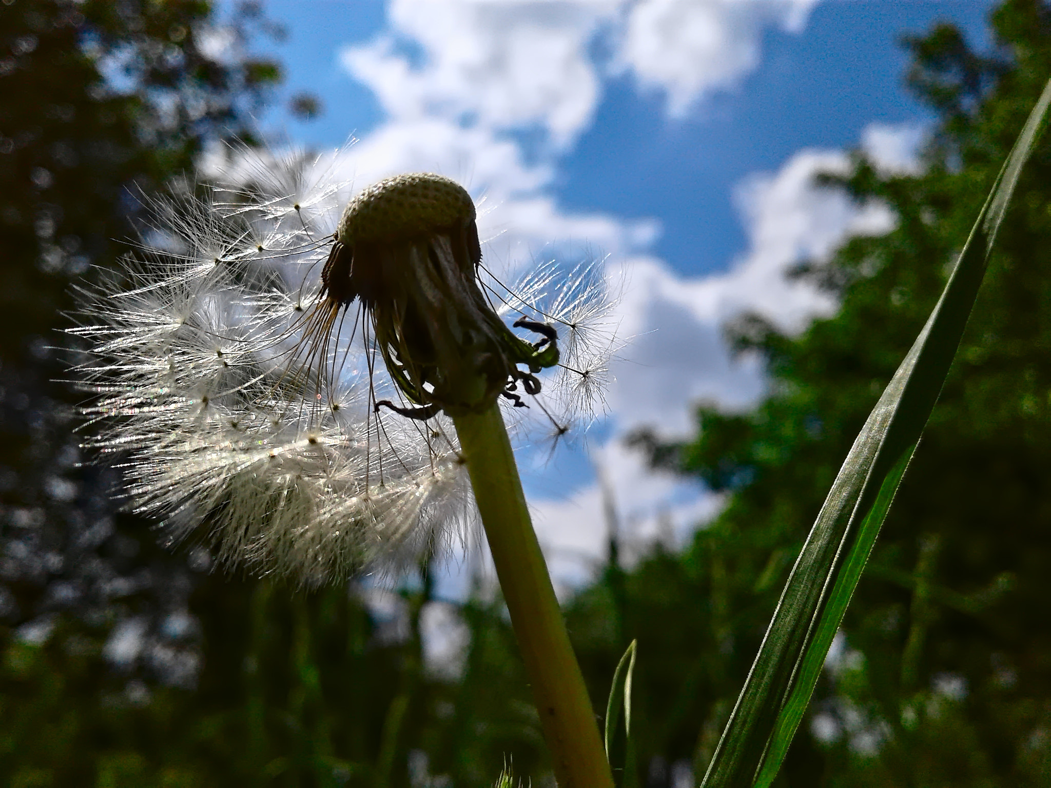 Samsung Galaxy J1 sample photo. Backlighted photography