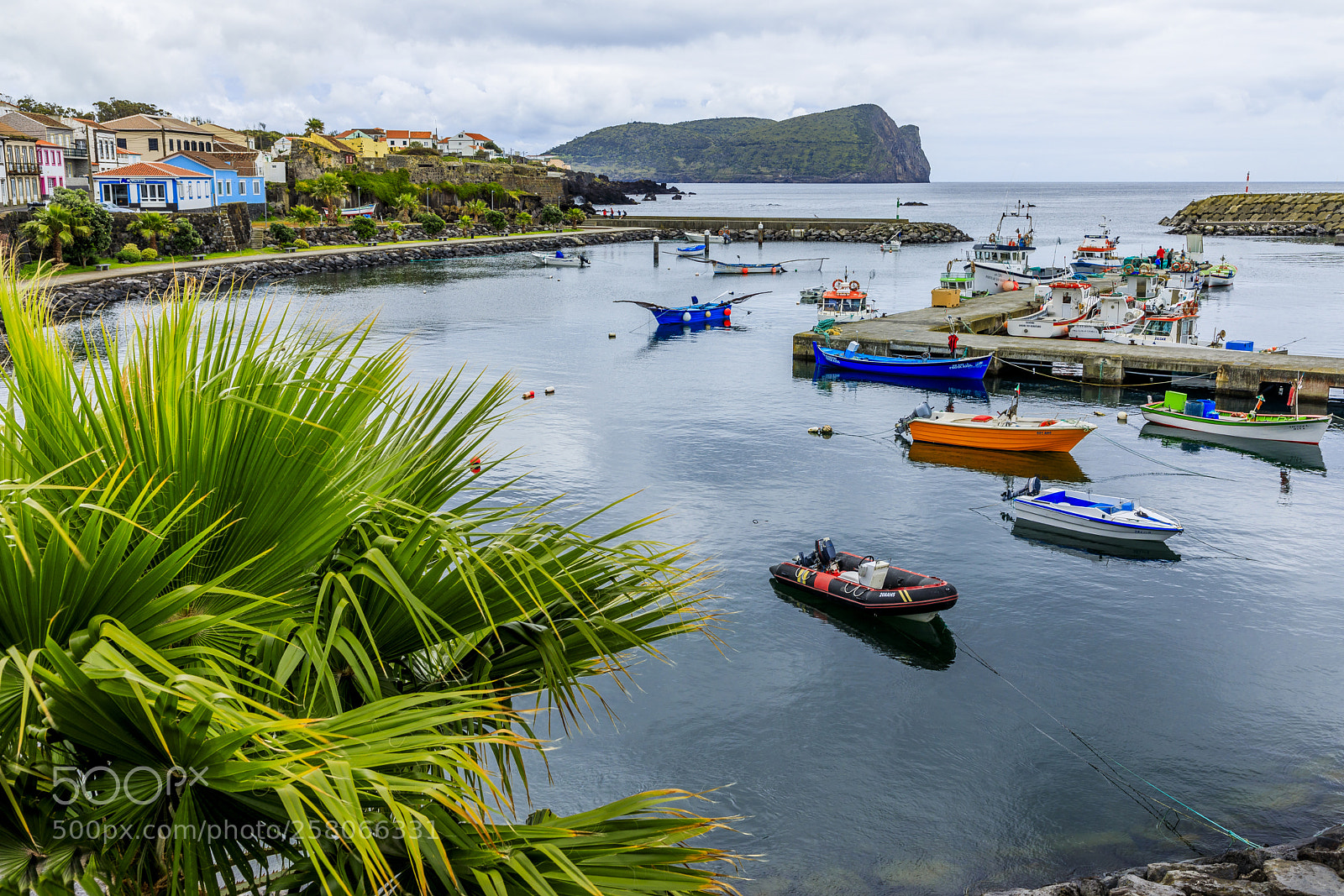 Canon EOS 5D Mark IV sample photo. A ores-terceira-s o mateus photography