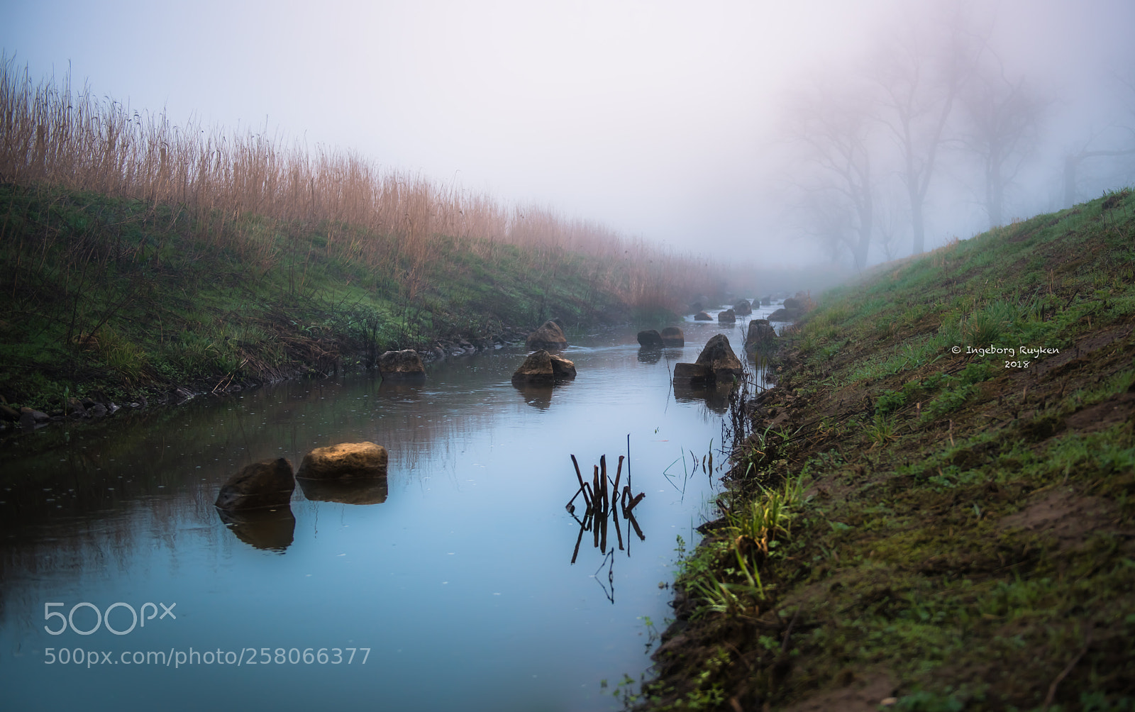 Nikon D800 sample photo. Rokcy river photography