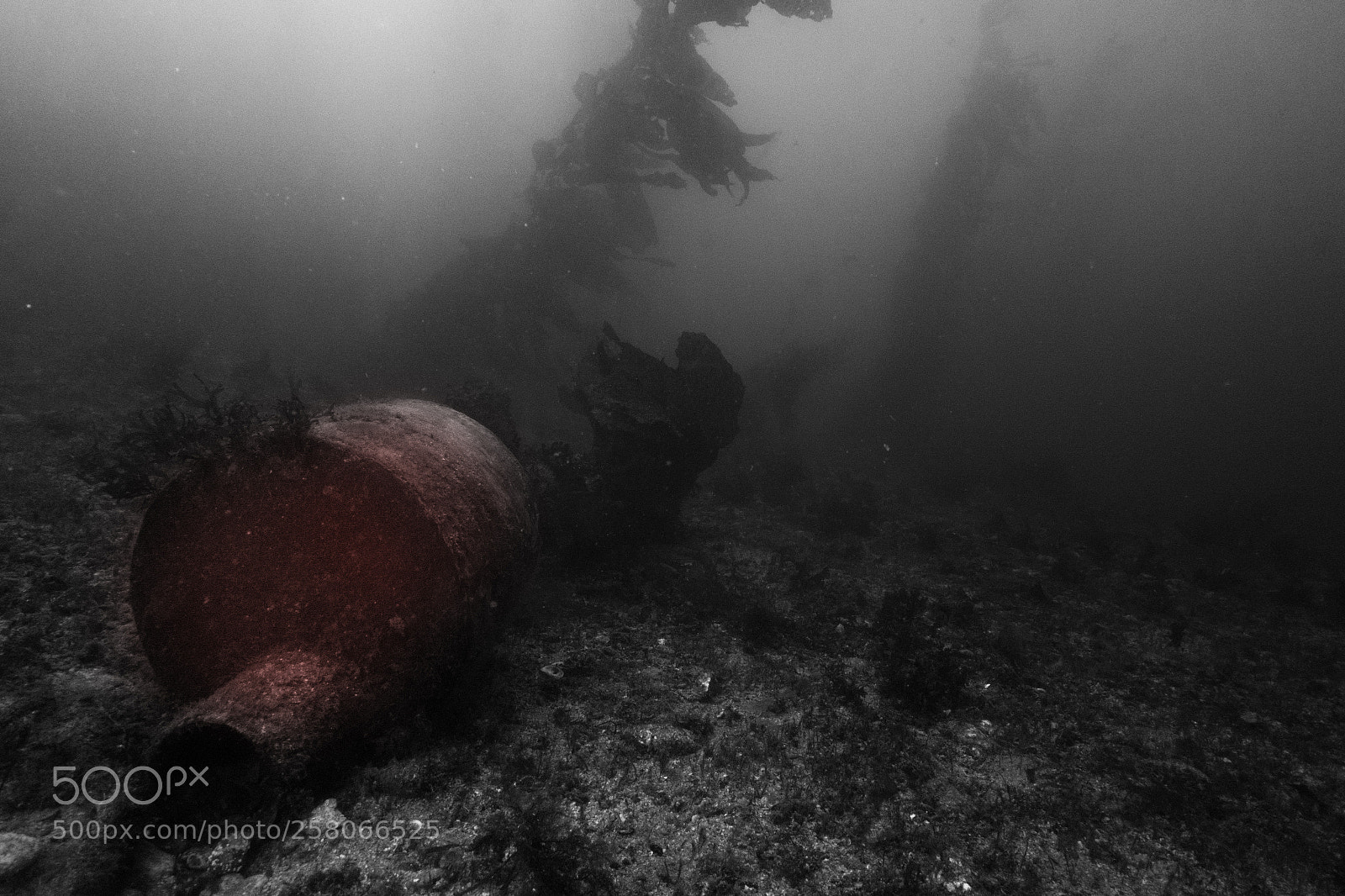 Sony Cyber-shot DSC-RX100 sample photo. Casino point underwater park photography