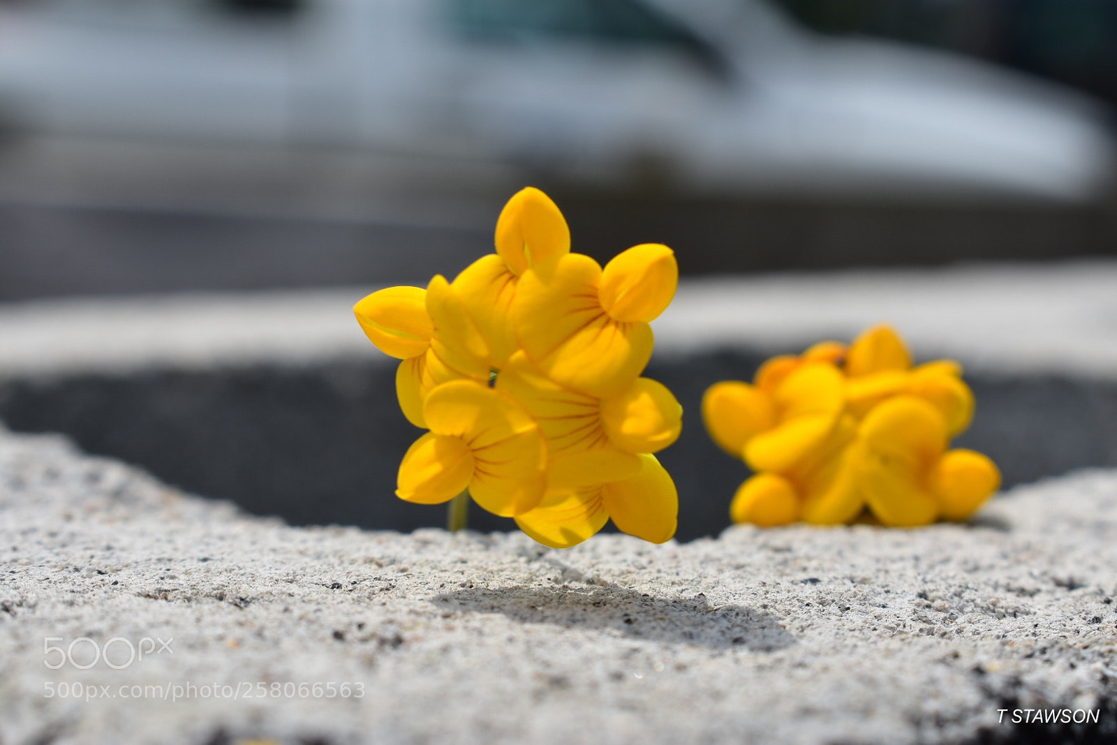 Nikon D3400 sample photo. 2018-05-14 11.51.25.jpg photography