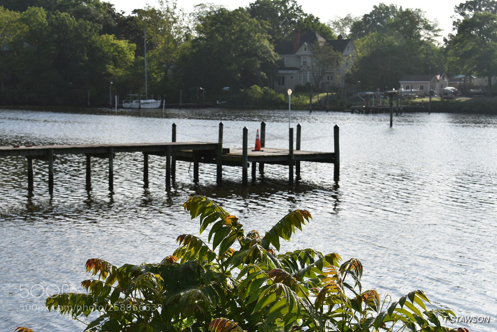 Nikon D3400 sample photo. 2018-05-10 07.57.42.jpg photography