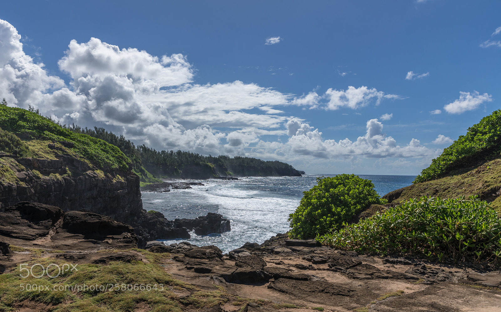 Canon EOS 5D Mark IV sample photo. The crying rock photography