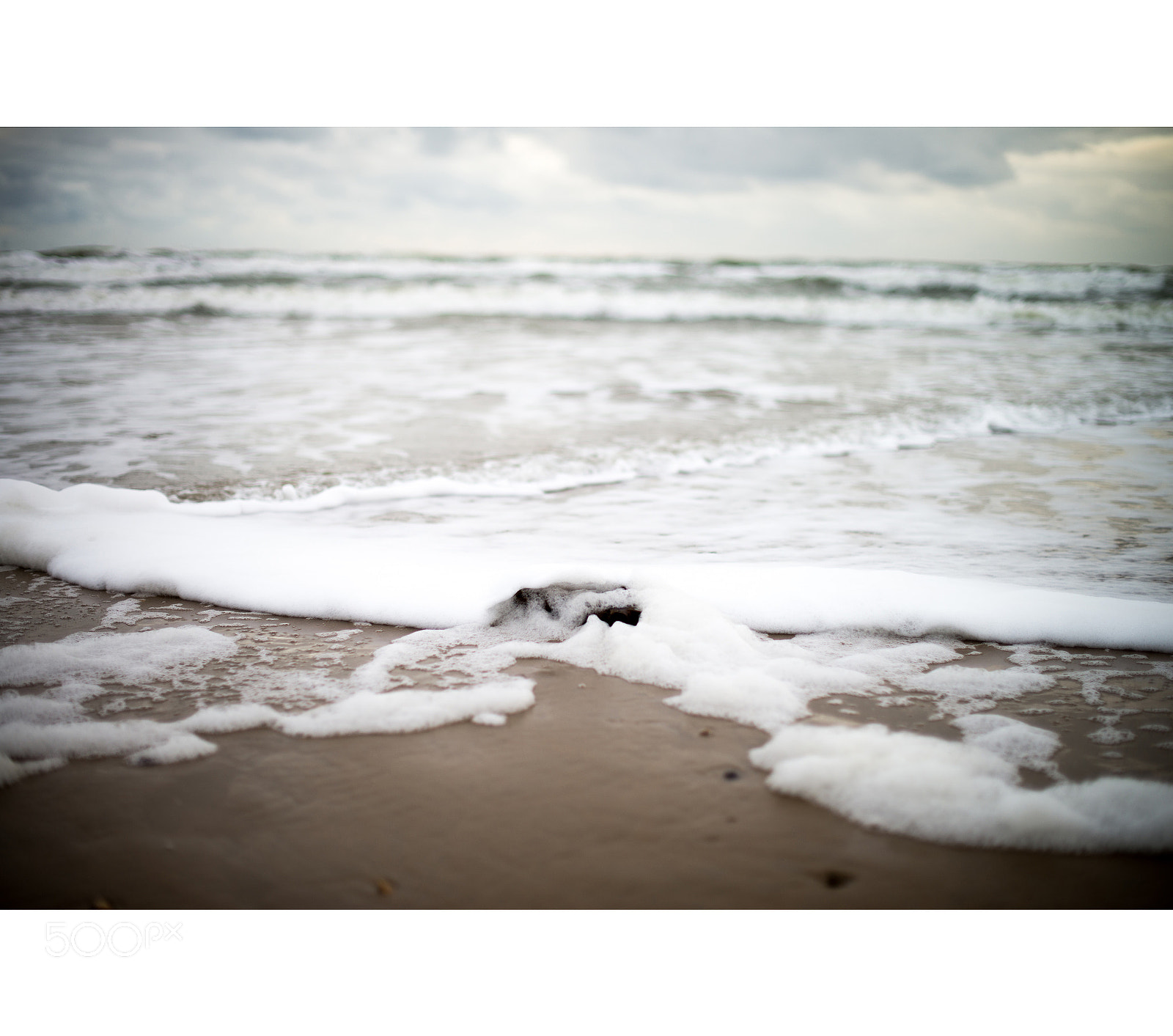 Nikon D610 sample photo. Egmond ann zee photography