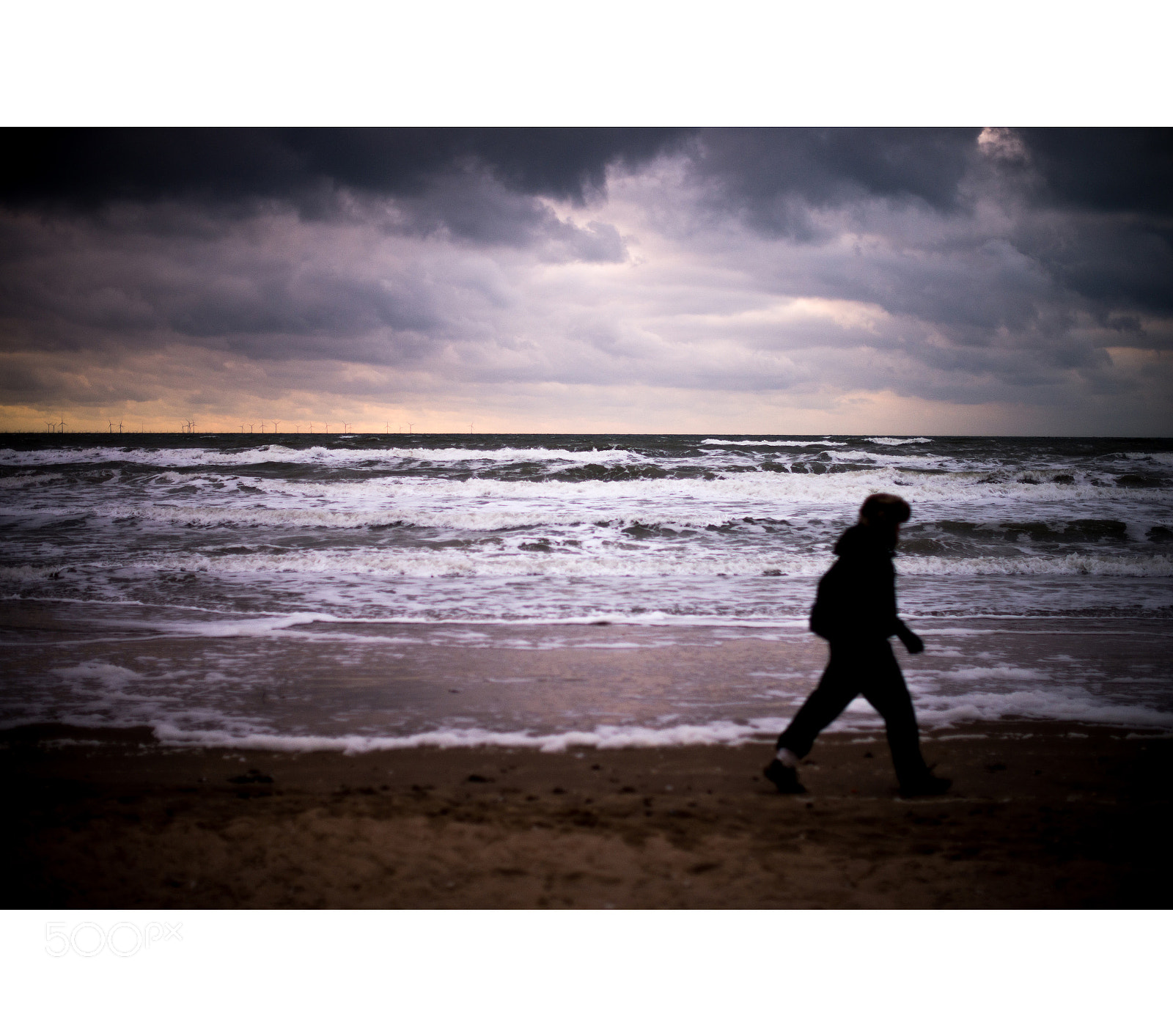 Nikon D610 sample photo. Egmond ann zee photography