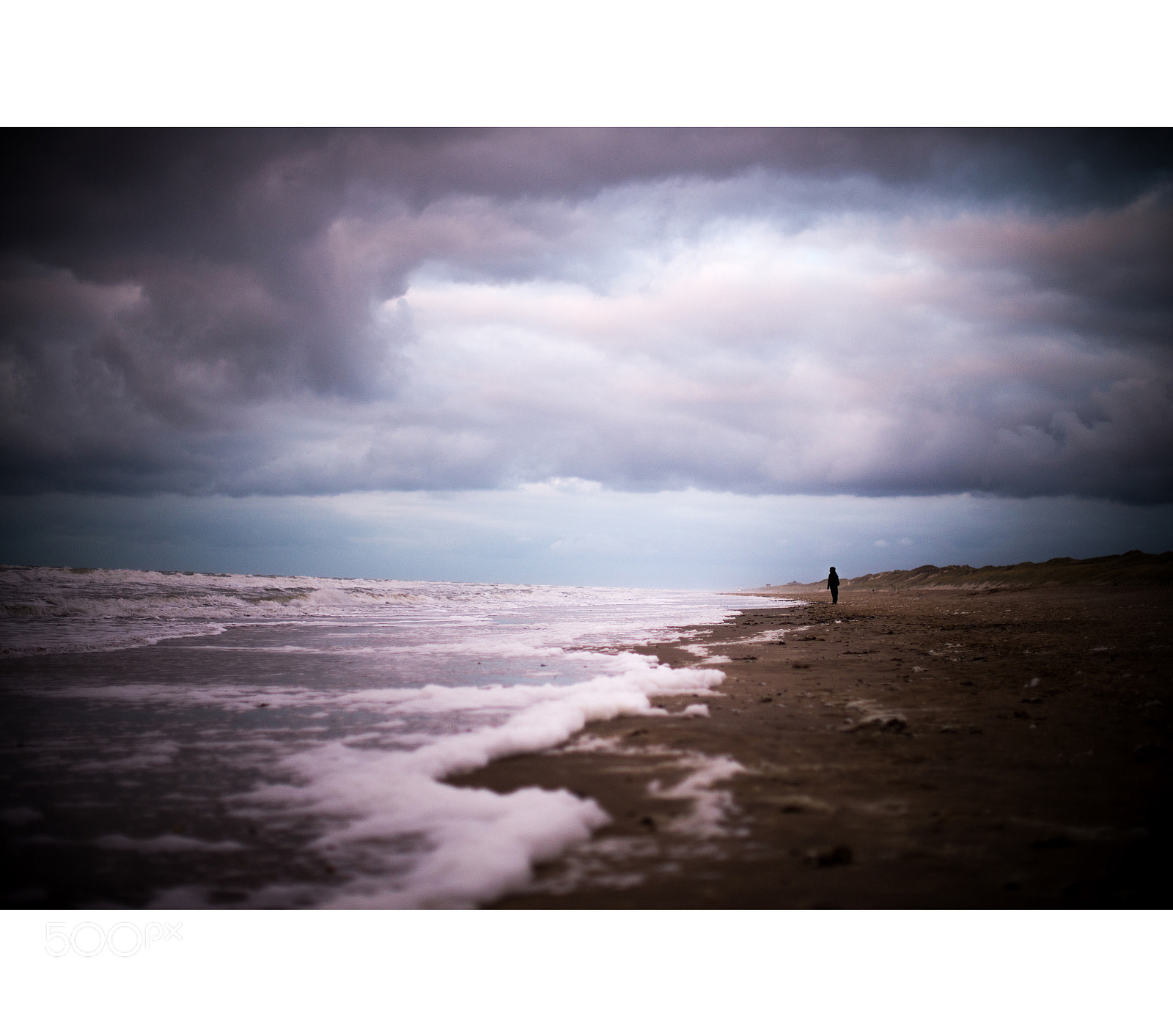 Nikon D610 sample photo. Egmond ann zee photography